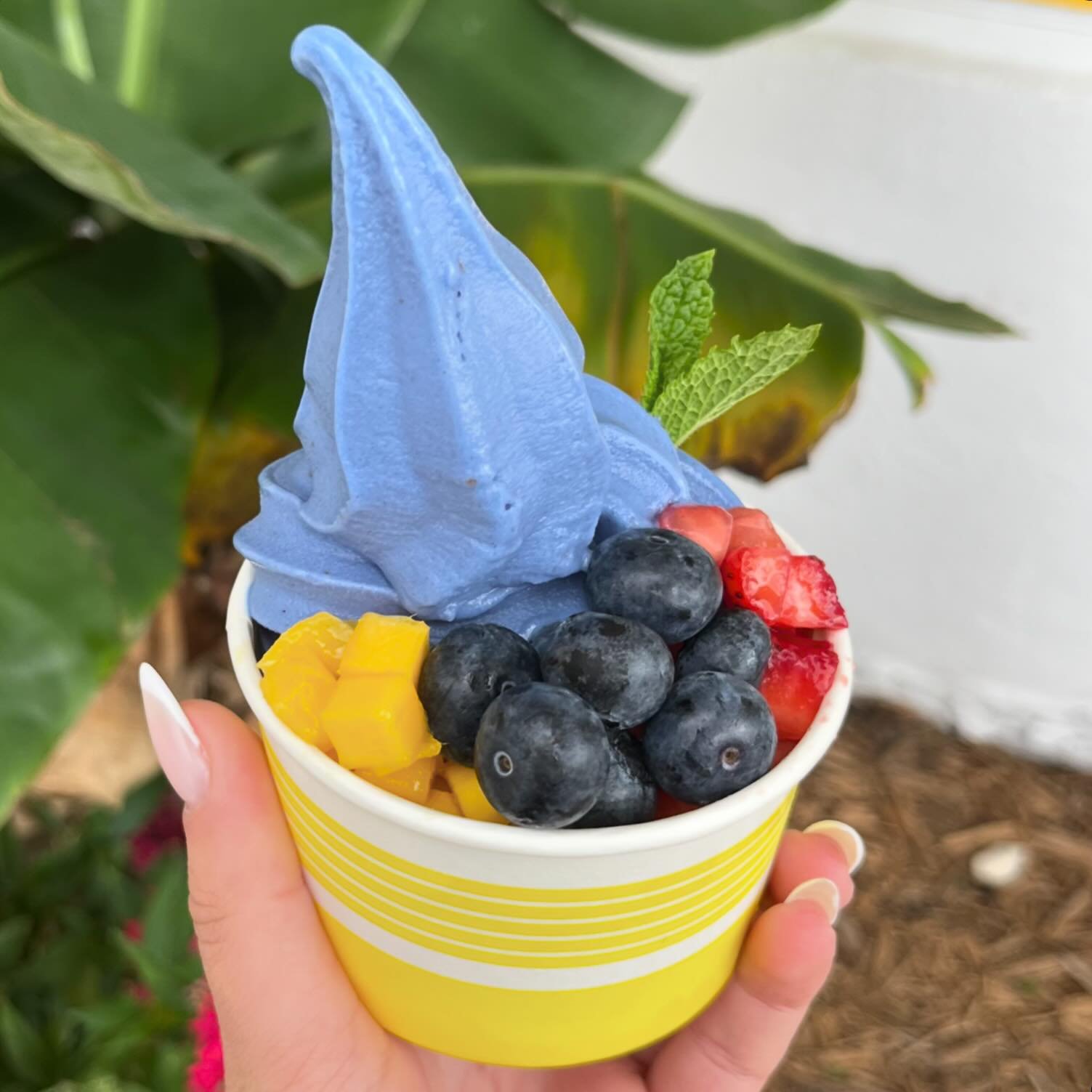 The healthiest blue soft serve you&rsquo;ve had is back. Blue Spirulina available now through Sunday. Peel HQ is Open 🍌