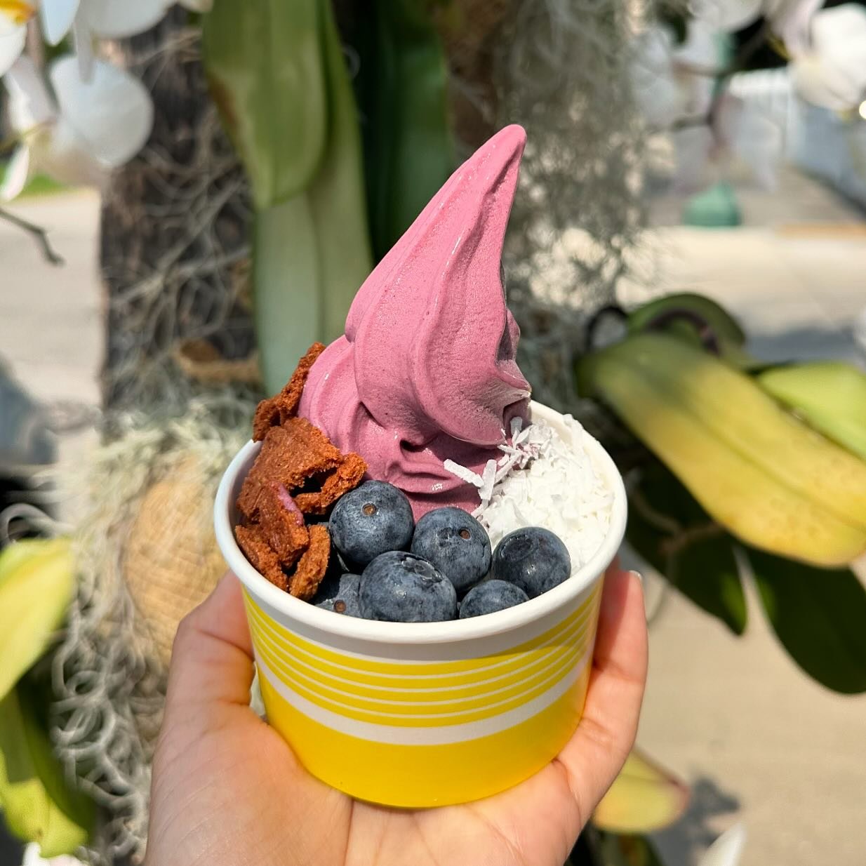 UBE! 💜 the purple sweet potato that keeps on giving is our flavor for the week. I topped it with coconut flakes, fresh blueberries and gluten free homemade cone bits but really goes well with everything. 

Available both at miami shores + design dis