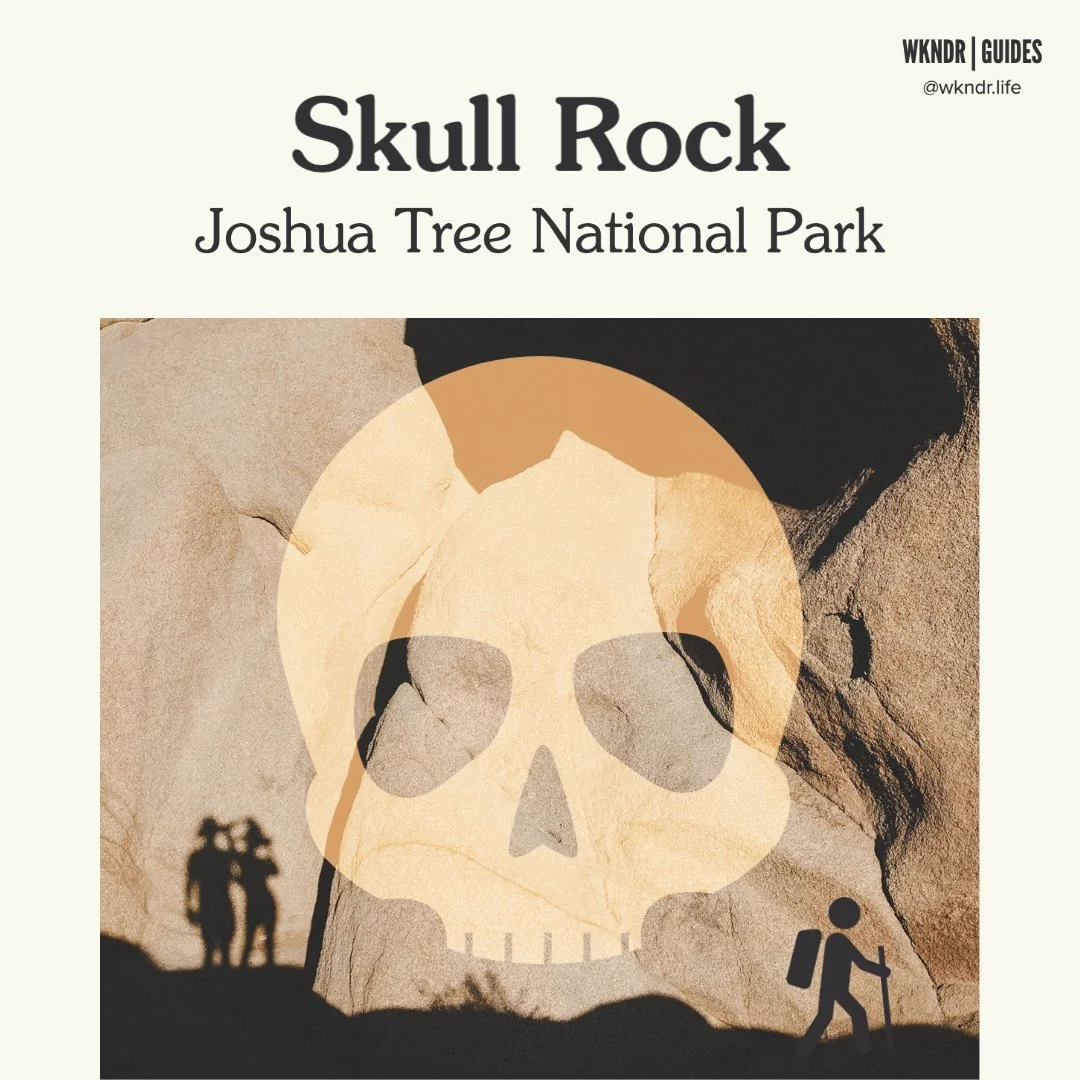 Trail Guide To Hiking Skull Rock At Joshua Tree National Park