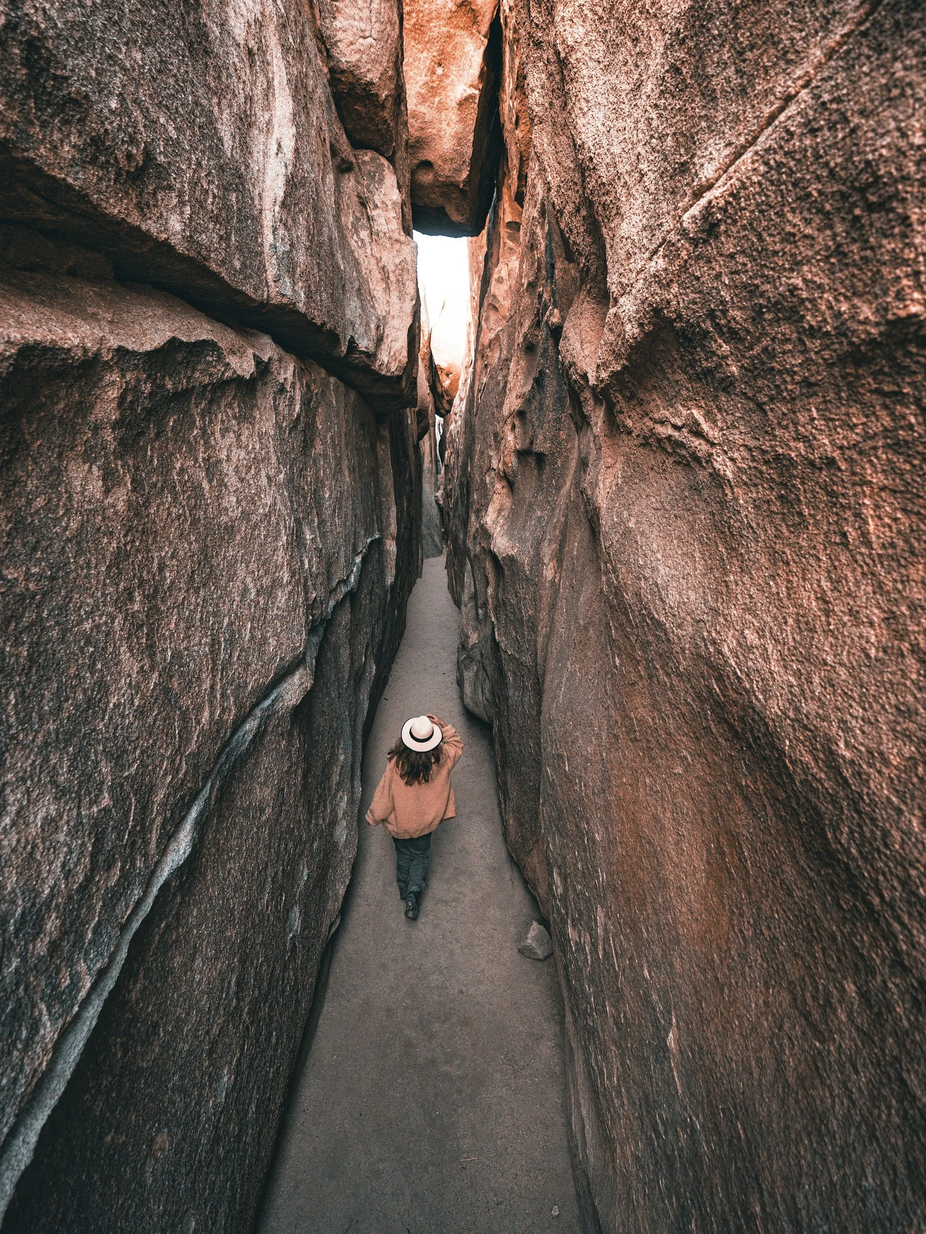 Joshua Tree’s Hidden Waterways: Exploring Washes, Oases, and Ephemeral Rivers