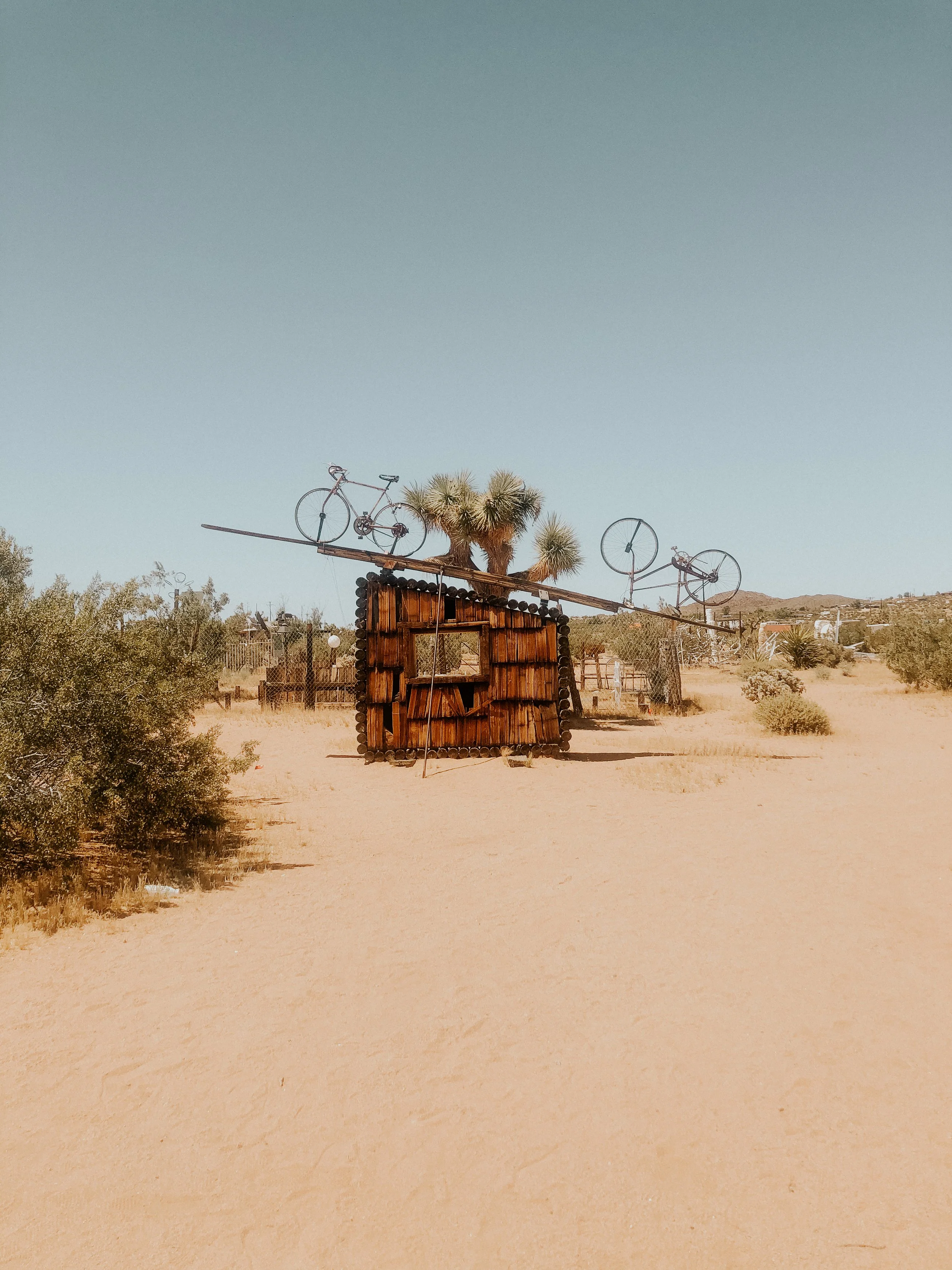 A desert scene with a small wooden structure, two bike sculptures on poles, and a cactus tree.