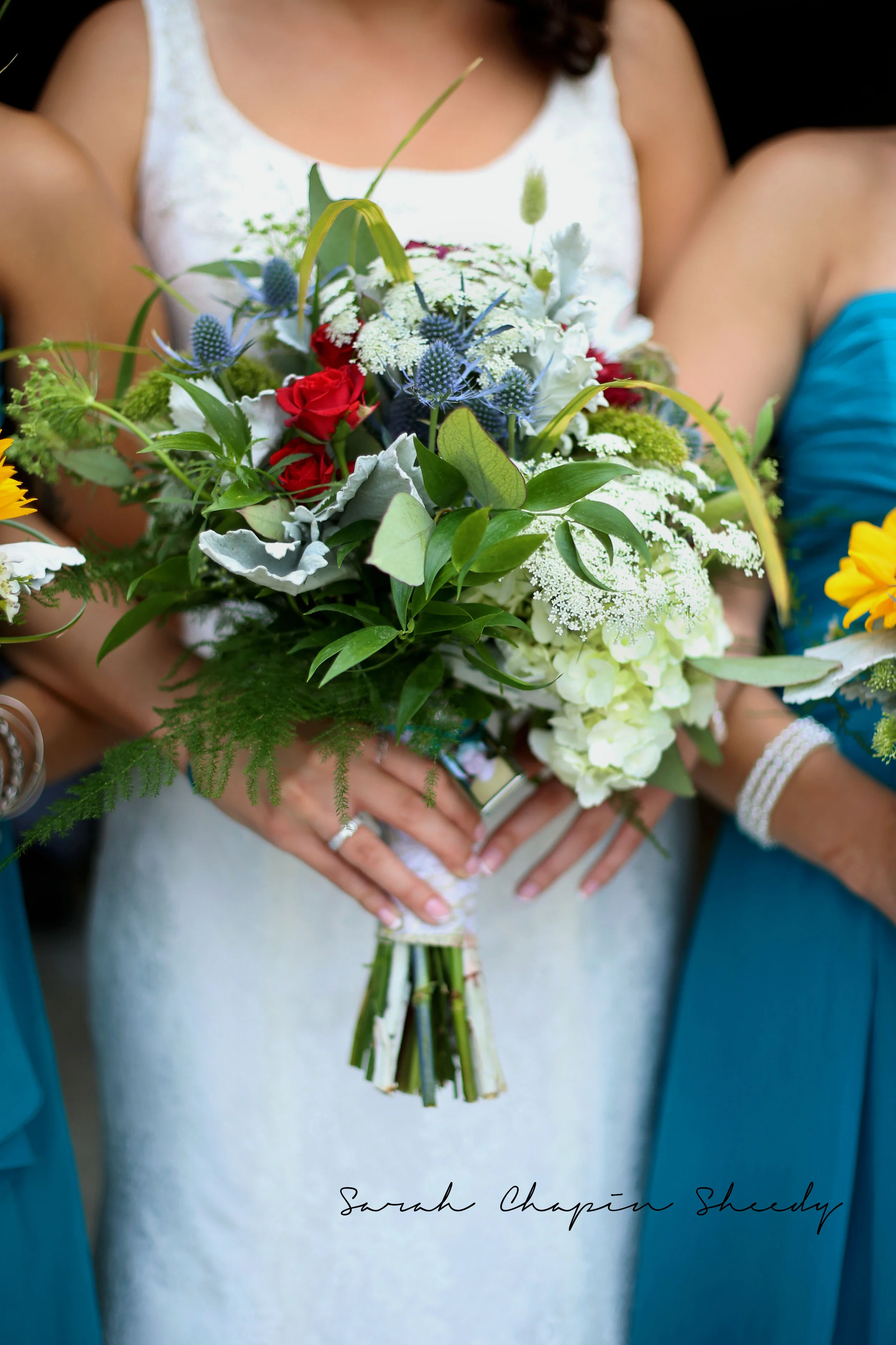 IMG_0861scs copy.jpg