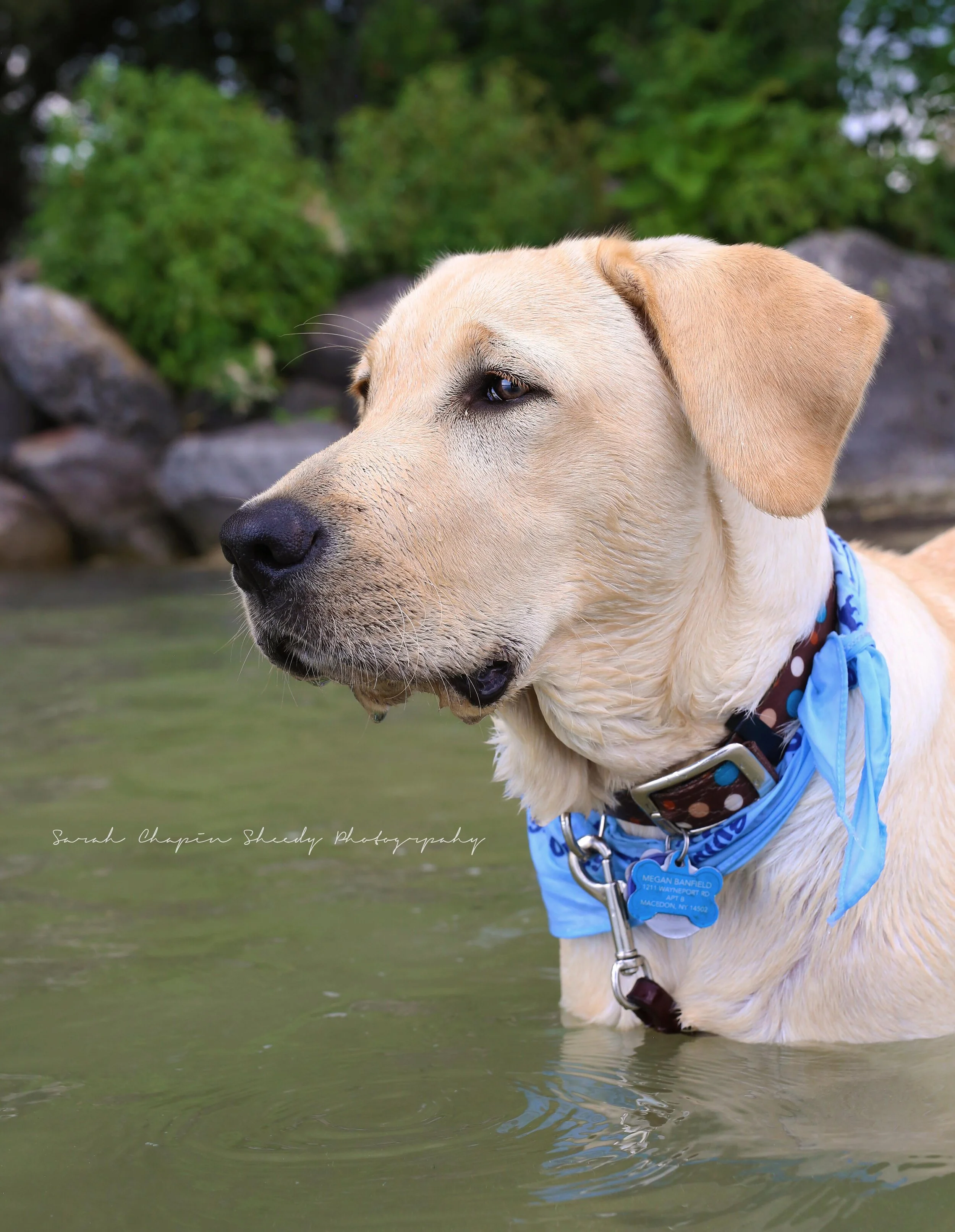 IMG_3502_SCS copy.jpg