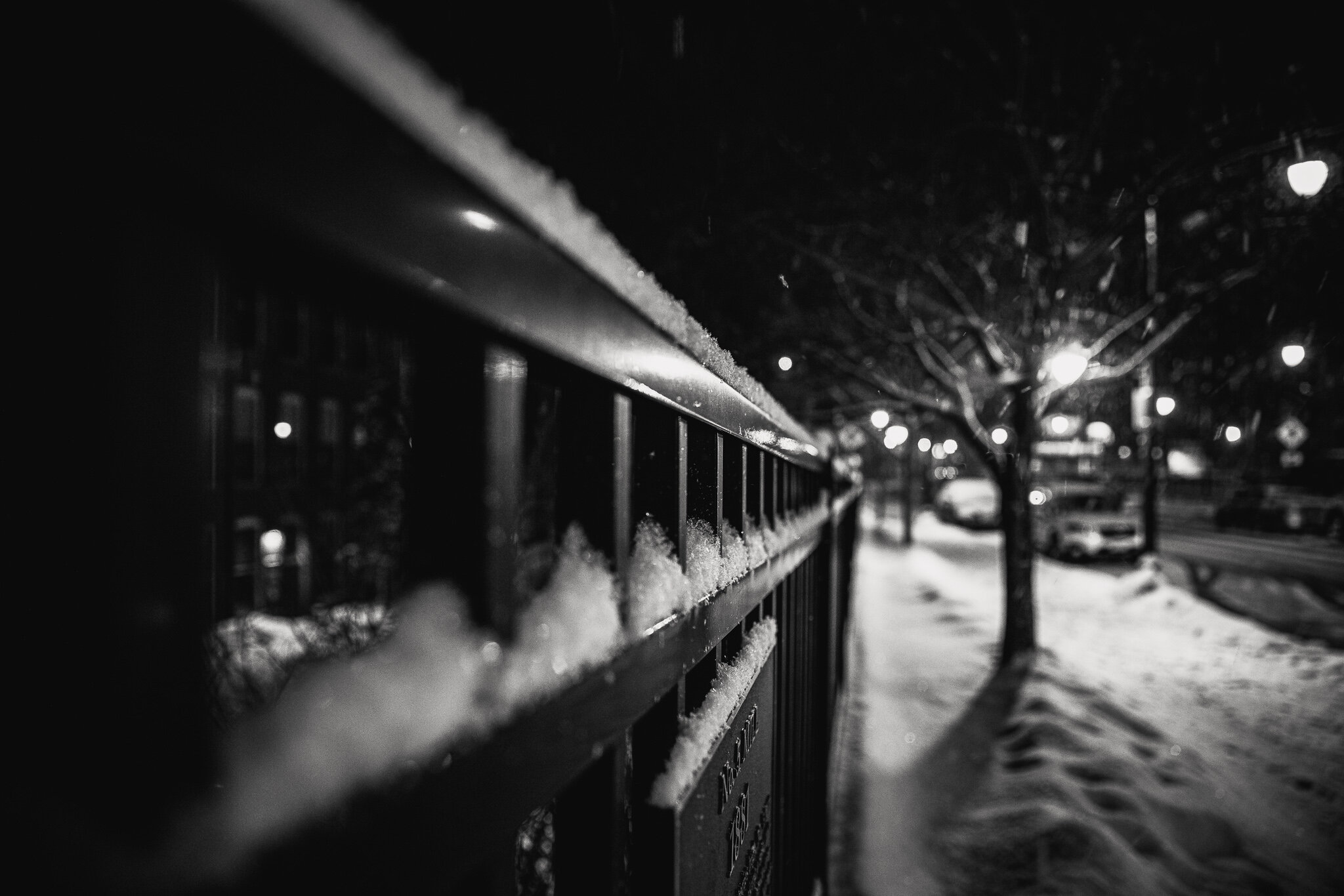 Web-3539.jpg