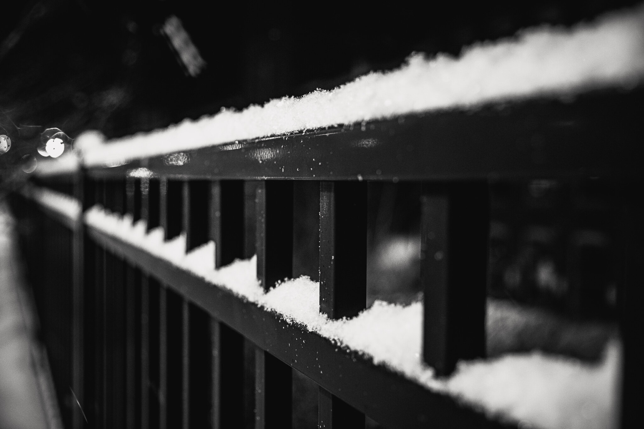 Web-3561.jpg