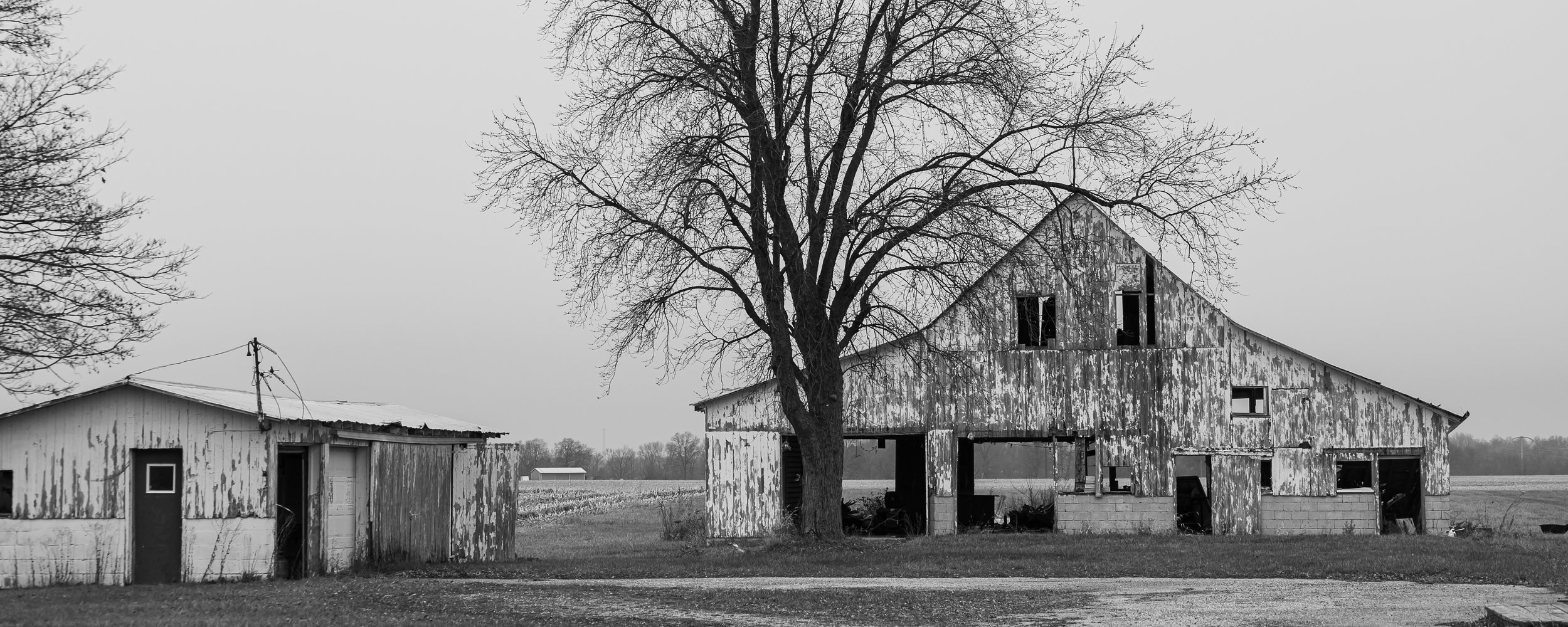 Barns-31.jpg