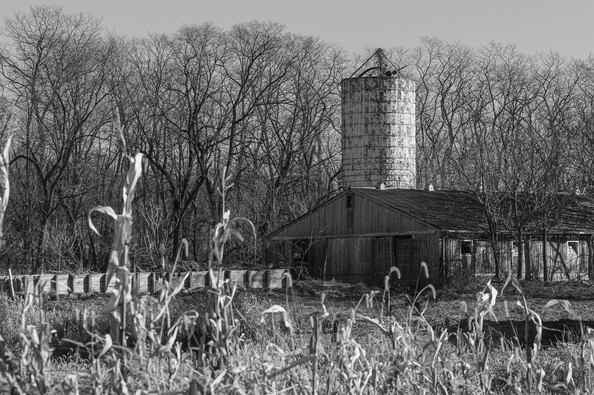 Barns-23.jpg