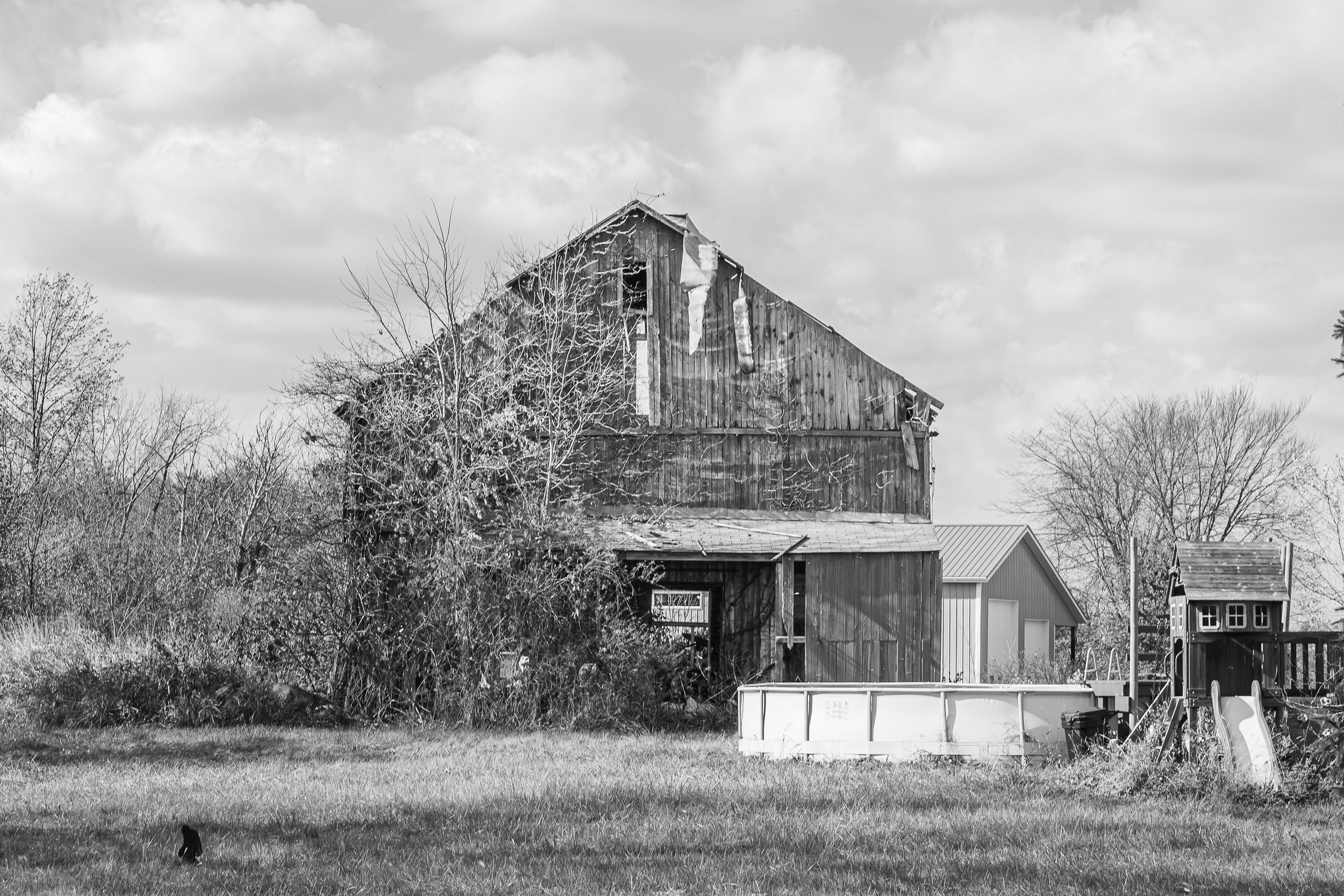 Barns-10.jpg