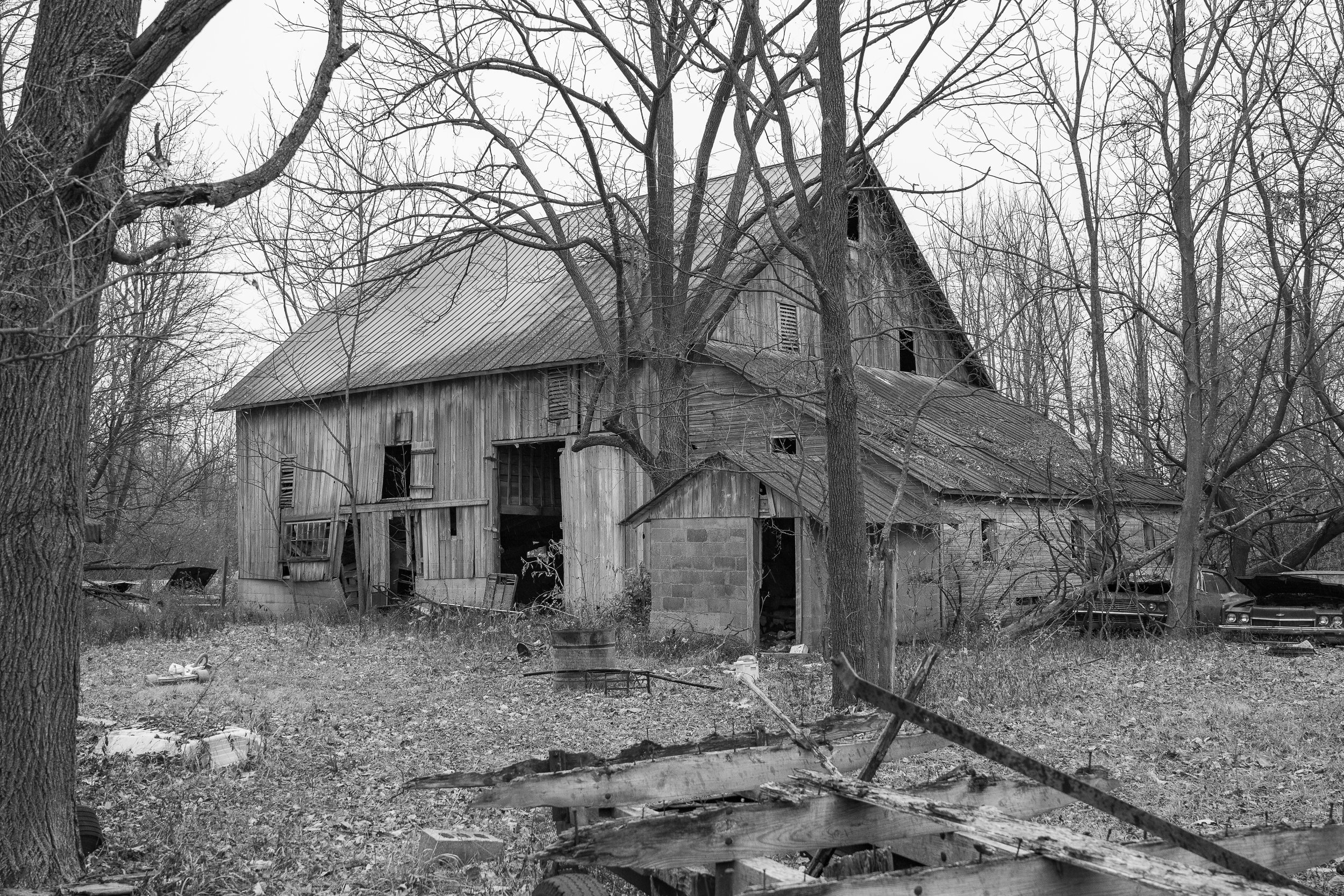 Barns-29.jpg
