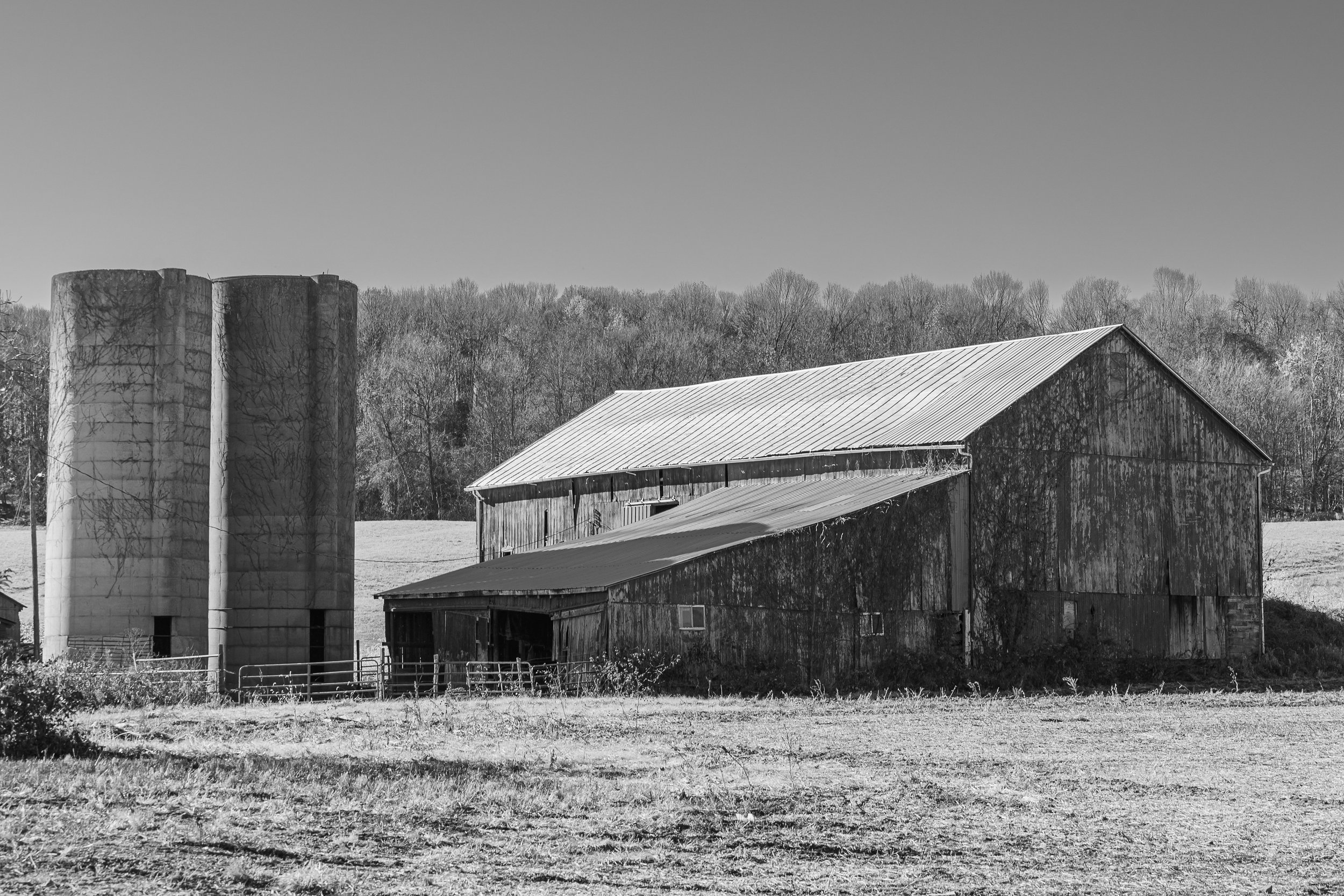 Barns-22.jpg