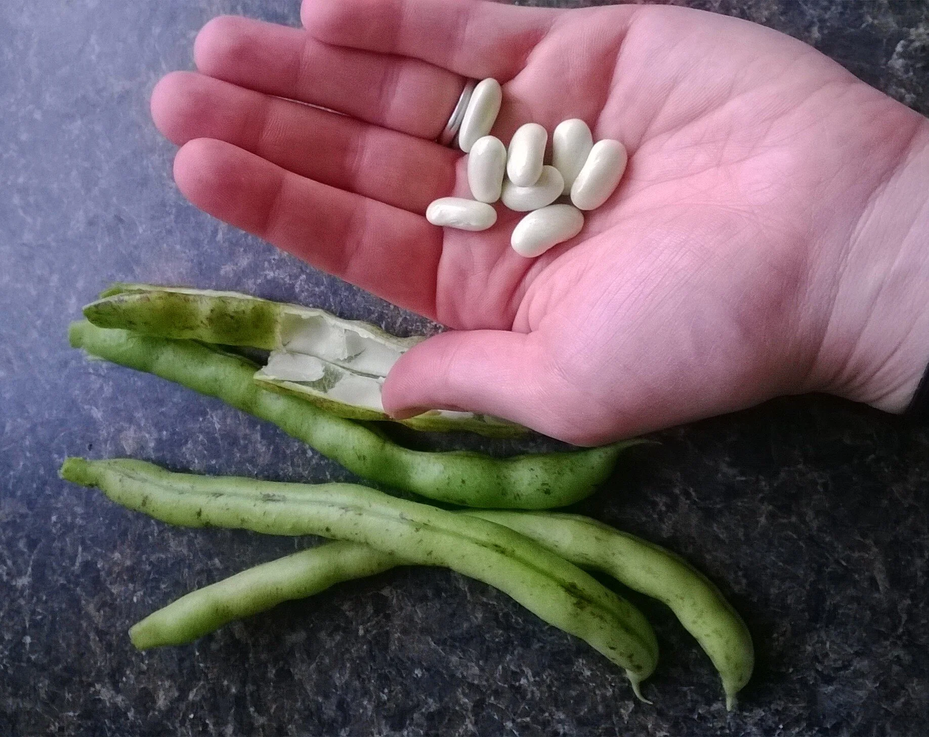 Learning to save seeds has provided many generations of heirloom plants.