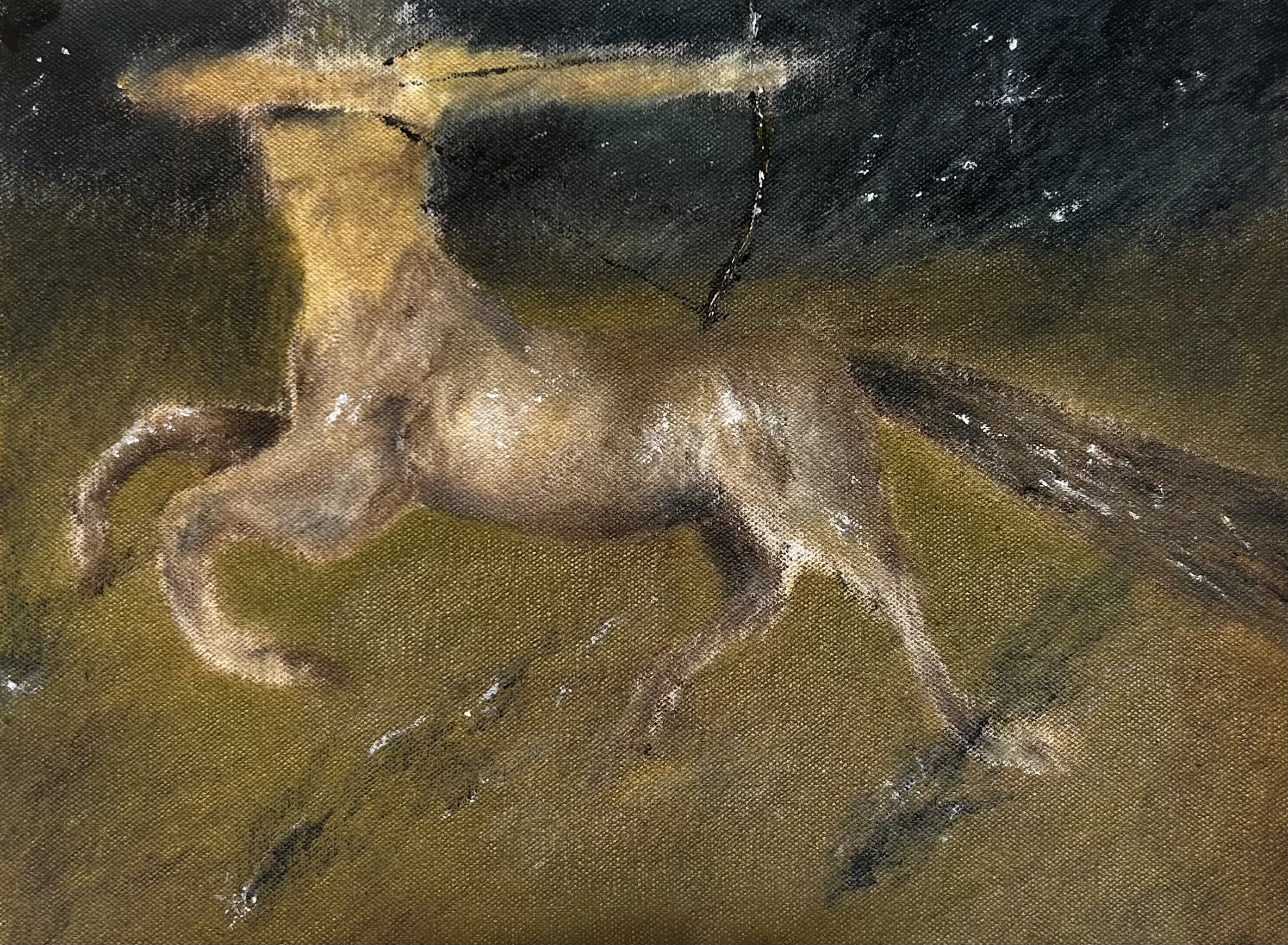 the last of the centaurs continued to fight as the sky fell around him, 2023, oil on unstretched canvas, 12 x 18 inches