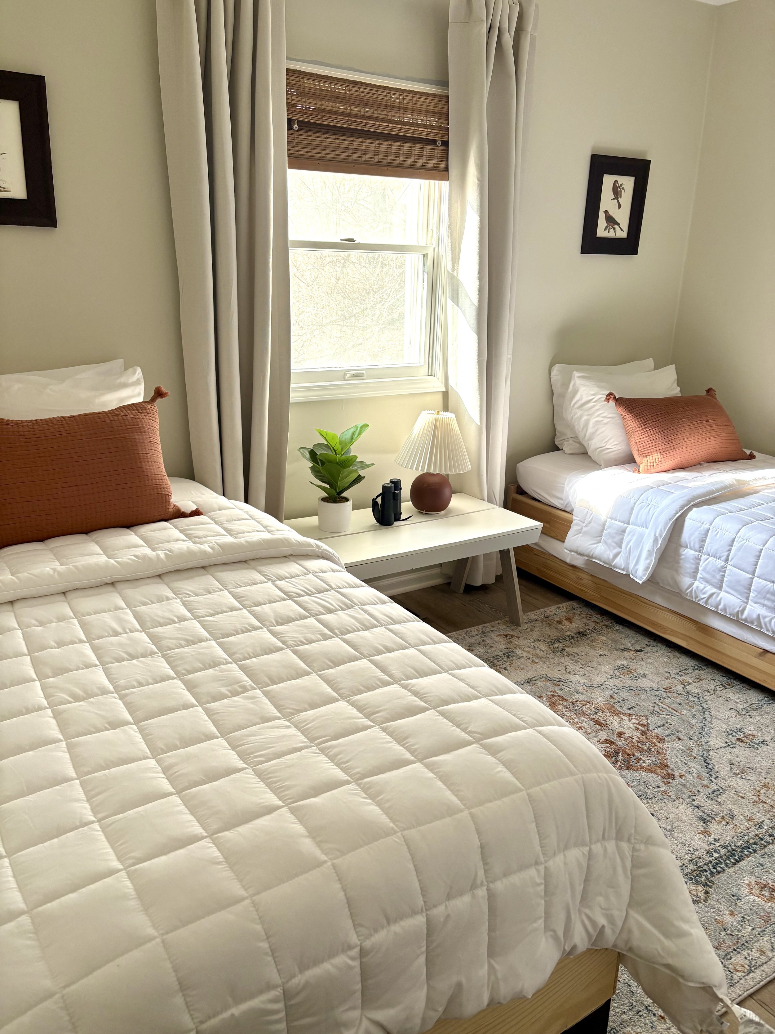 A cozy bedroom with two beds, white bedding, rust-colored pillows, a window with curtains and blinds, a white nightstand with a potted plant, a lamp, and decorative items, and framed bird artwork on the walls.