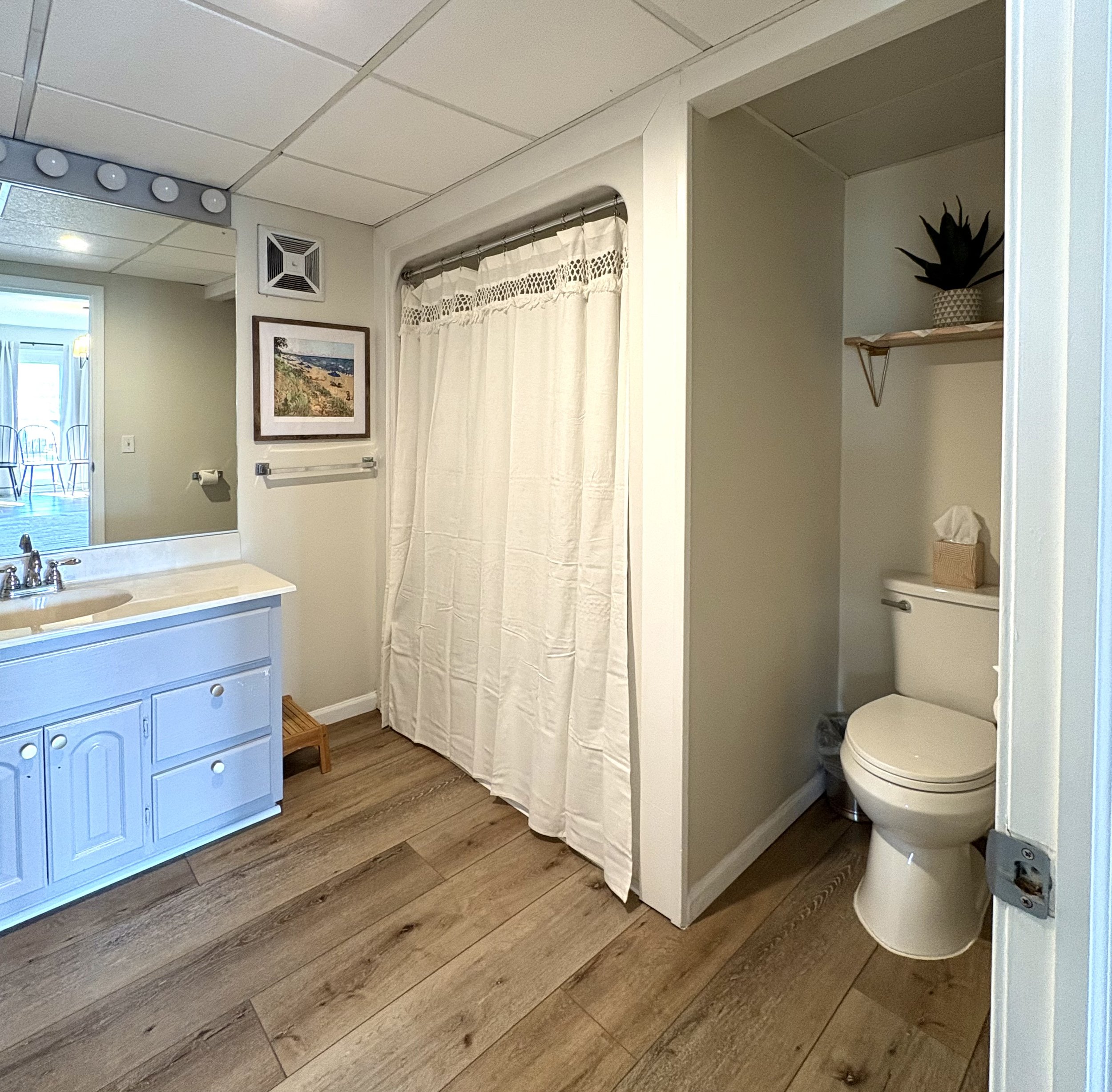 Bathroom with a white vanity, a towel rack, a picture on the wall, a shower with a curtain, and a separate toilet area with a shelf and a potted plant.