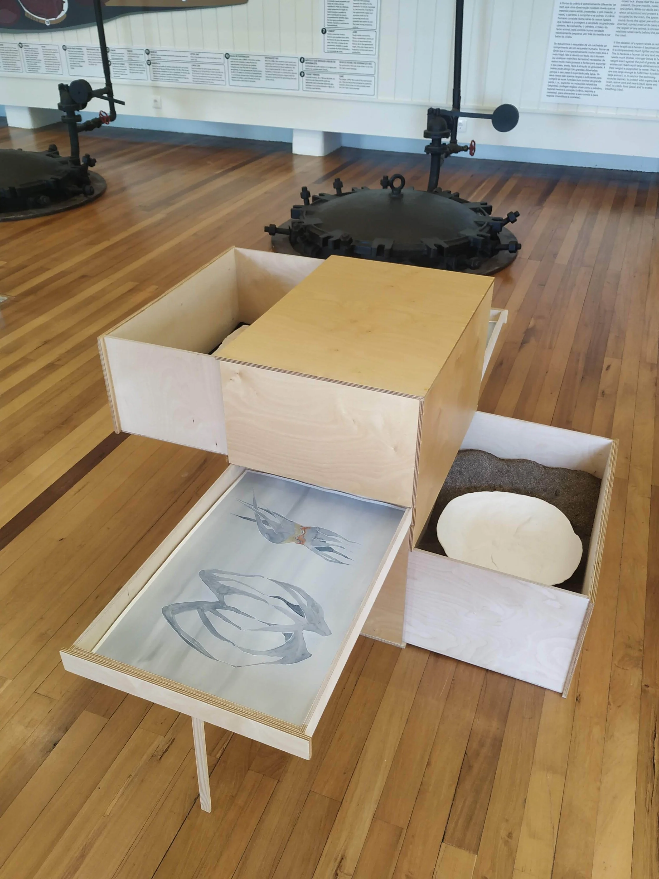 Faial telemovel cata IMG_20210716_132813.jpg