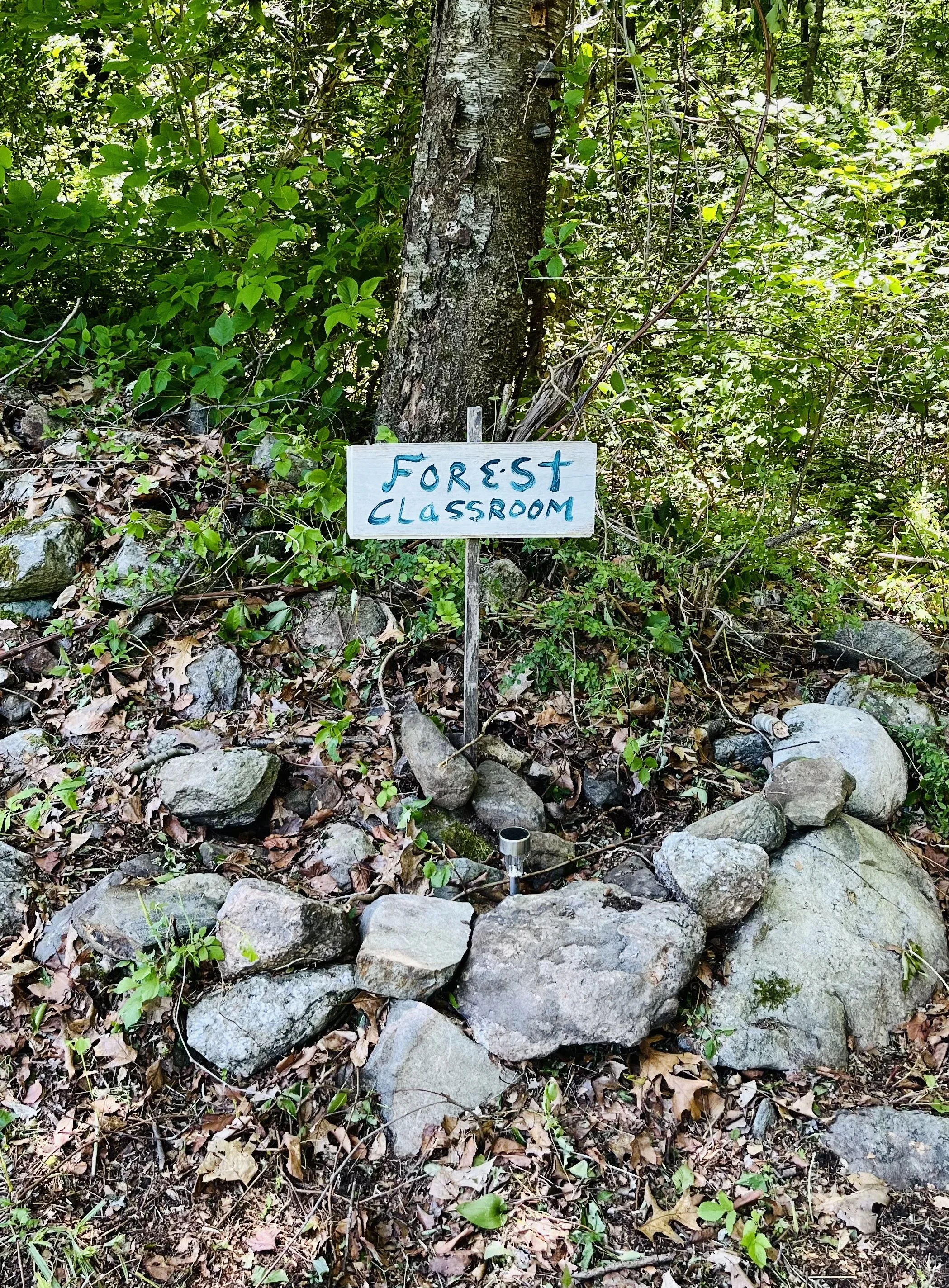 Photo May 31 2024, 12 53 36 PM.jpg