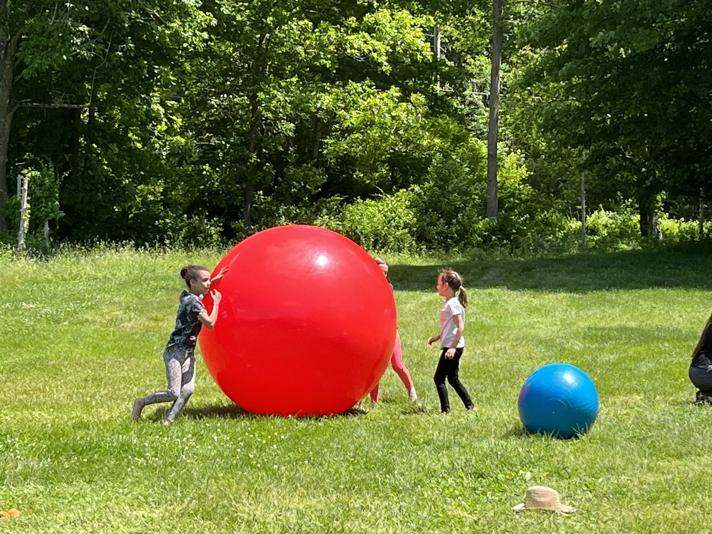 Photo May 31 2024, 12 38 37 PM (1).jpg