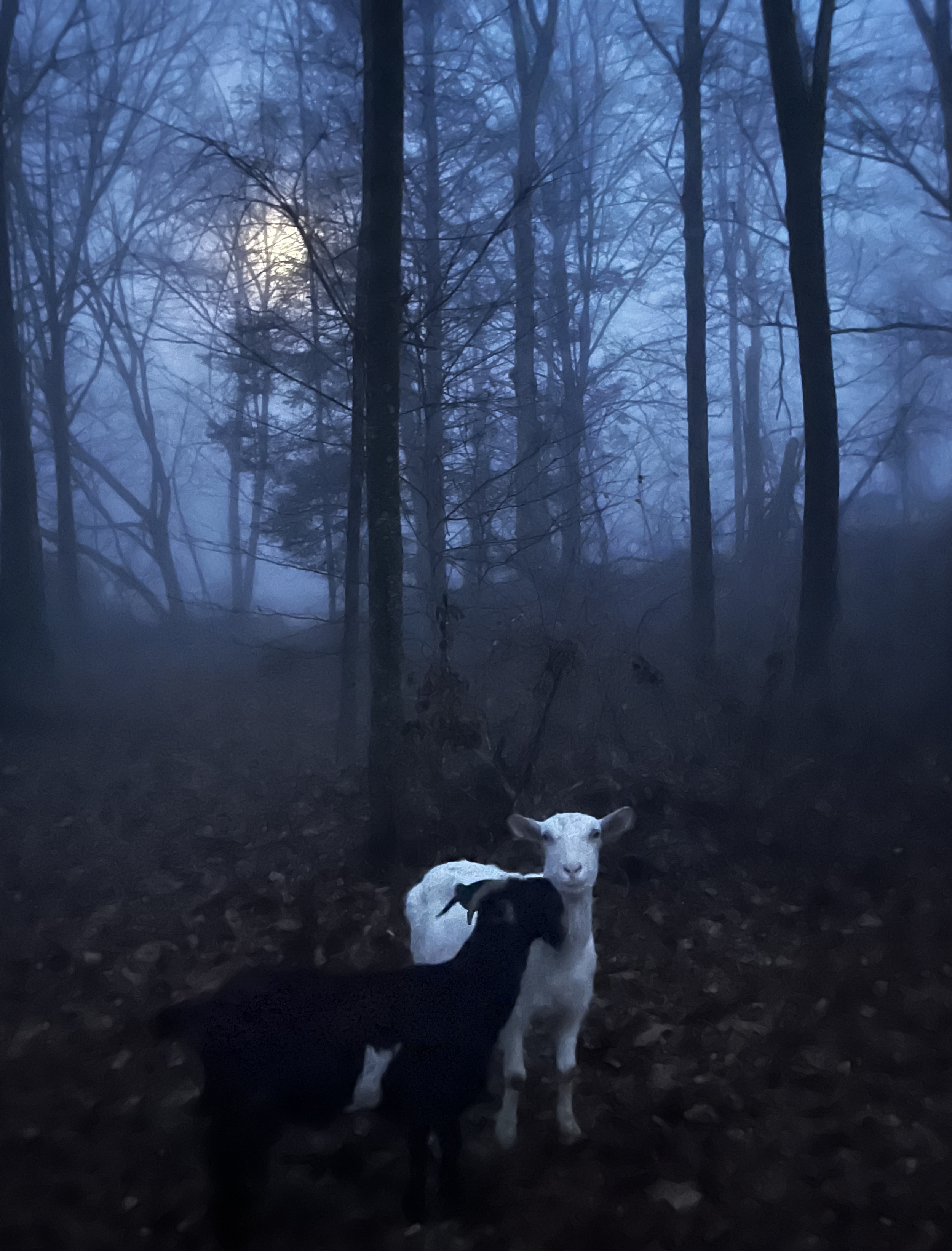 max & tilda xmas mist moon.png