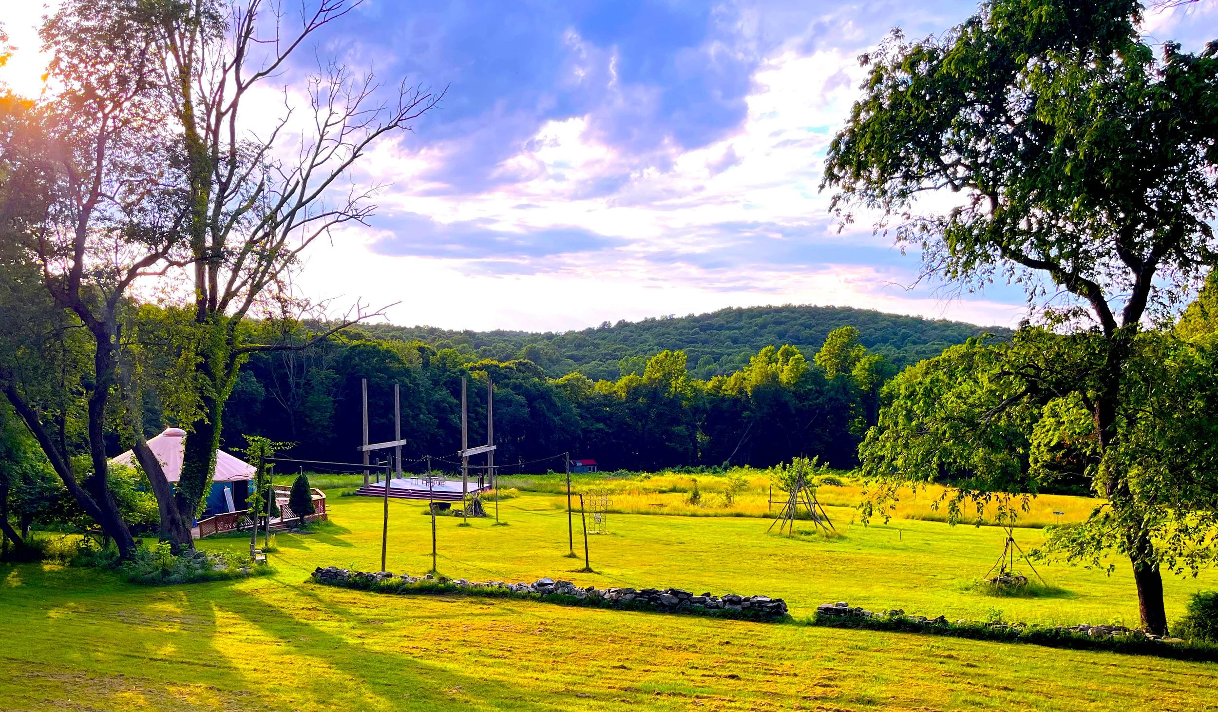 Sanctuary meadow 2.jpg