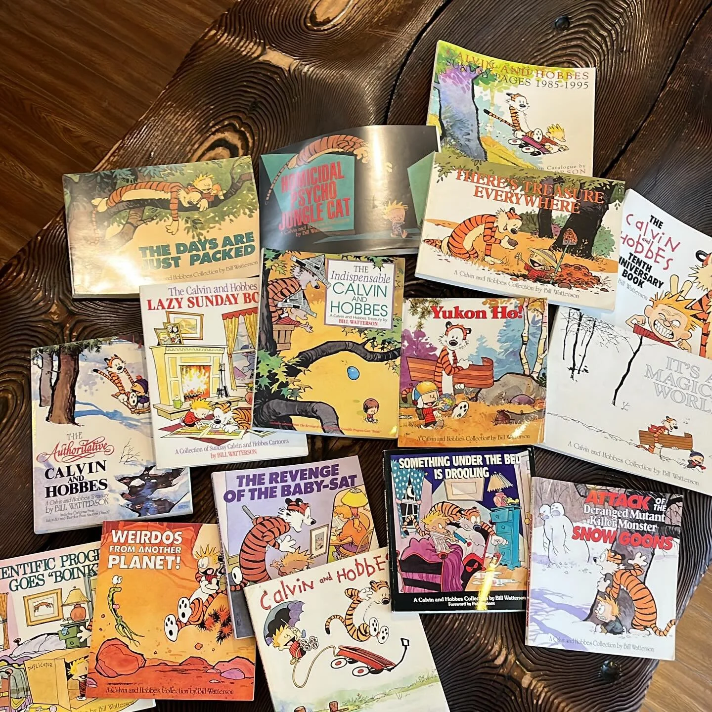 #calvinandhobbes appreciation society headquarters