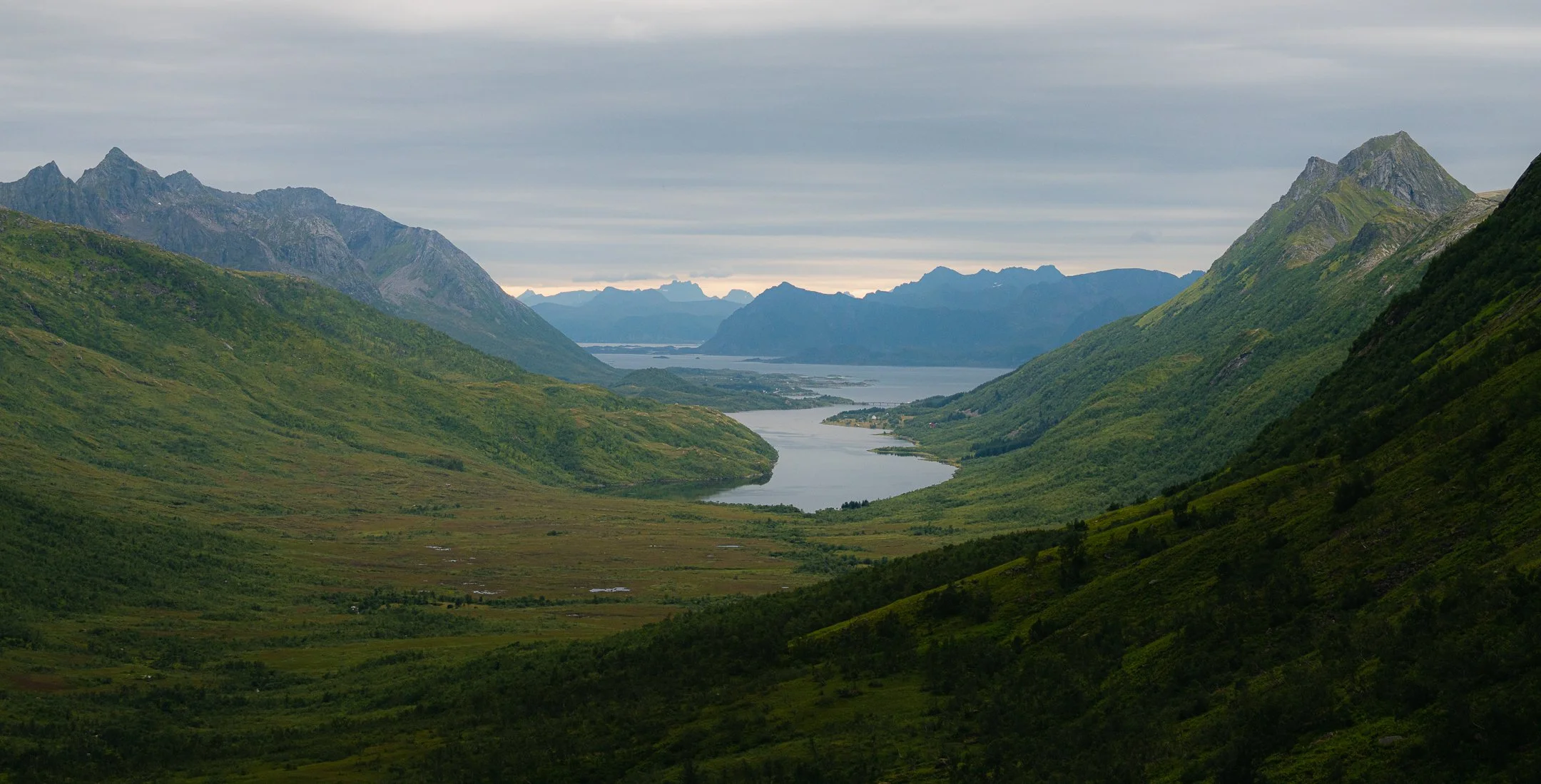 _DSC8901-2.jpg