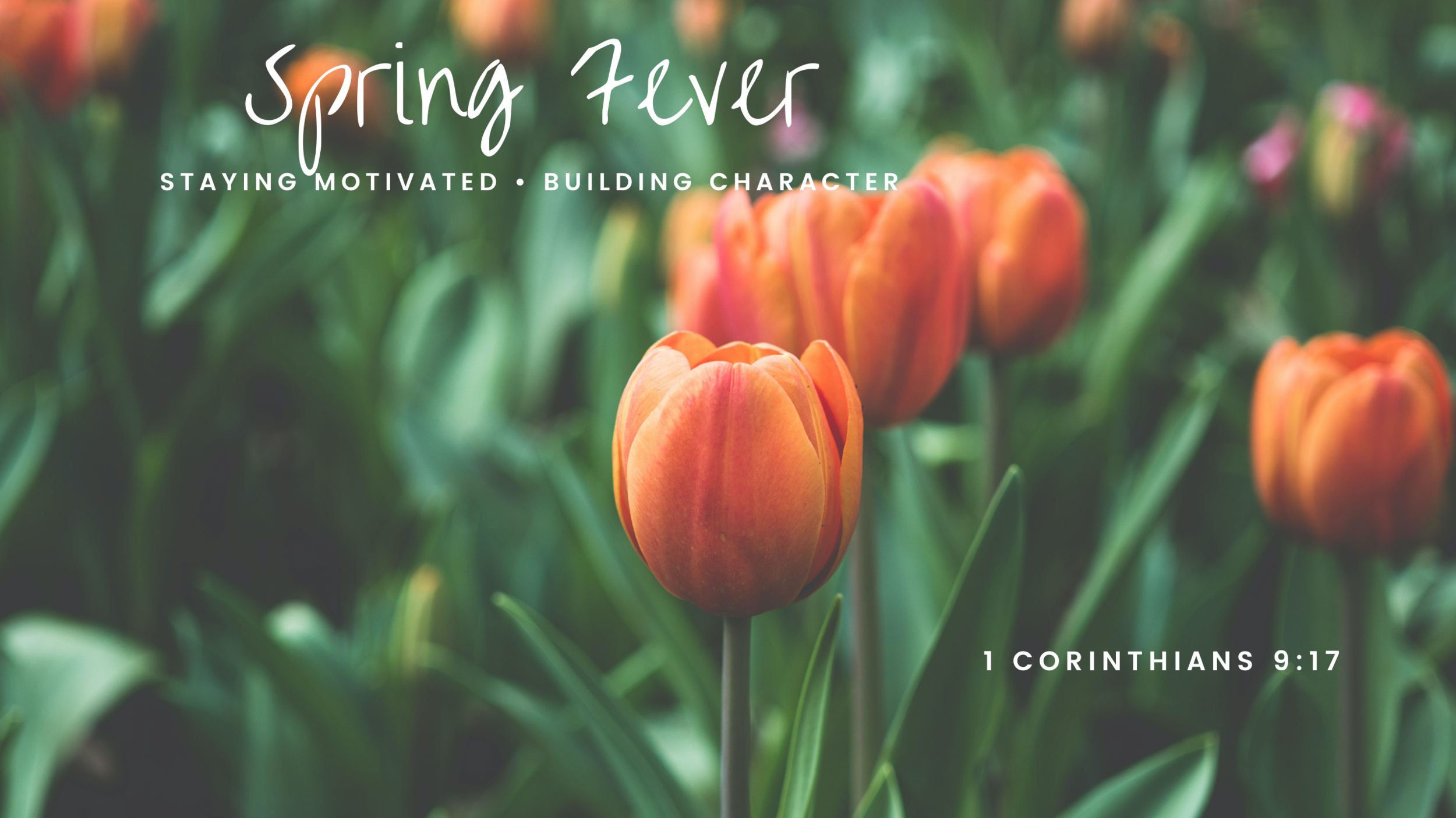 Spring Fever: Staying Motivated &amp; Building Character