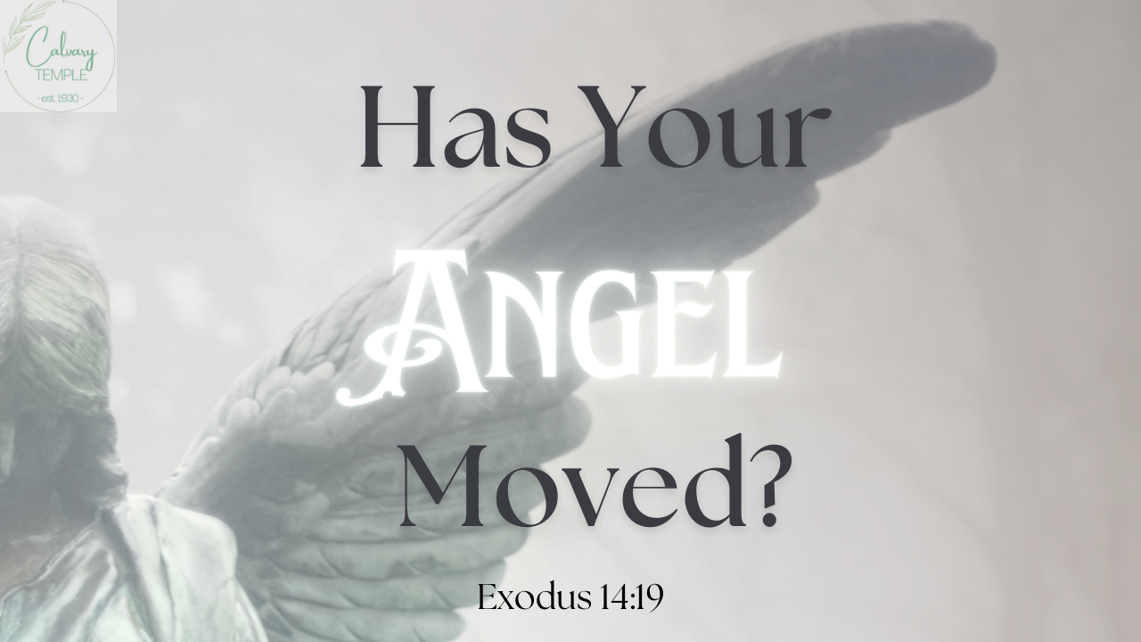 Has Your Angel Moved? episode artwork