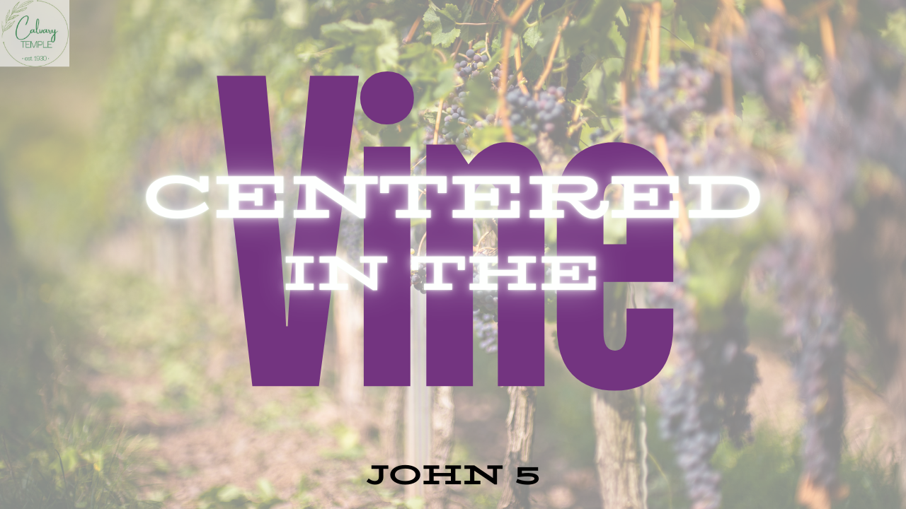 Centered in the True Vine