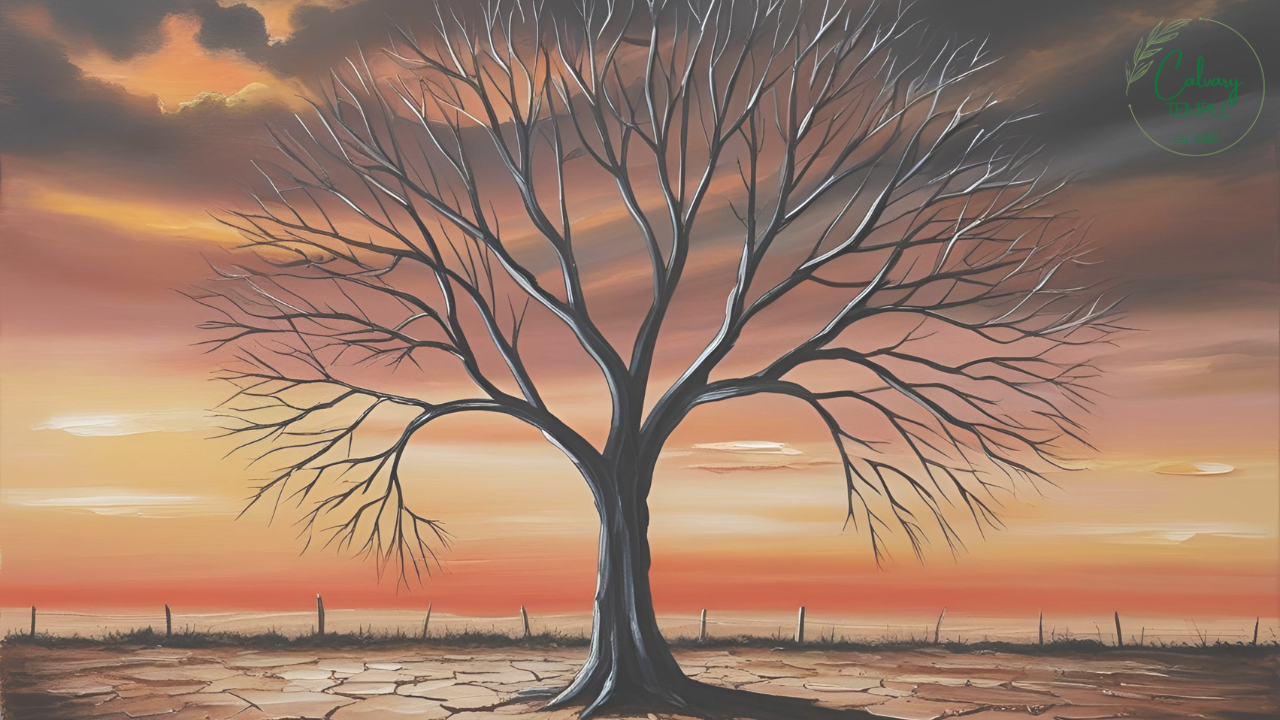The Fig Tree episode artwork