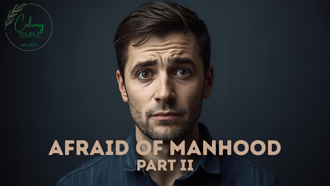 Men Are Afraid of Manhood Pt. 2 episode artwork