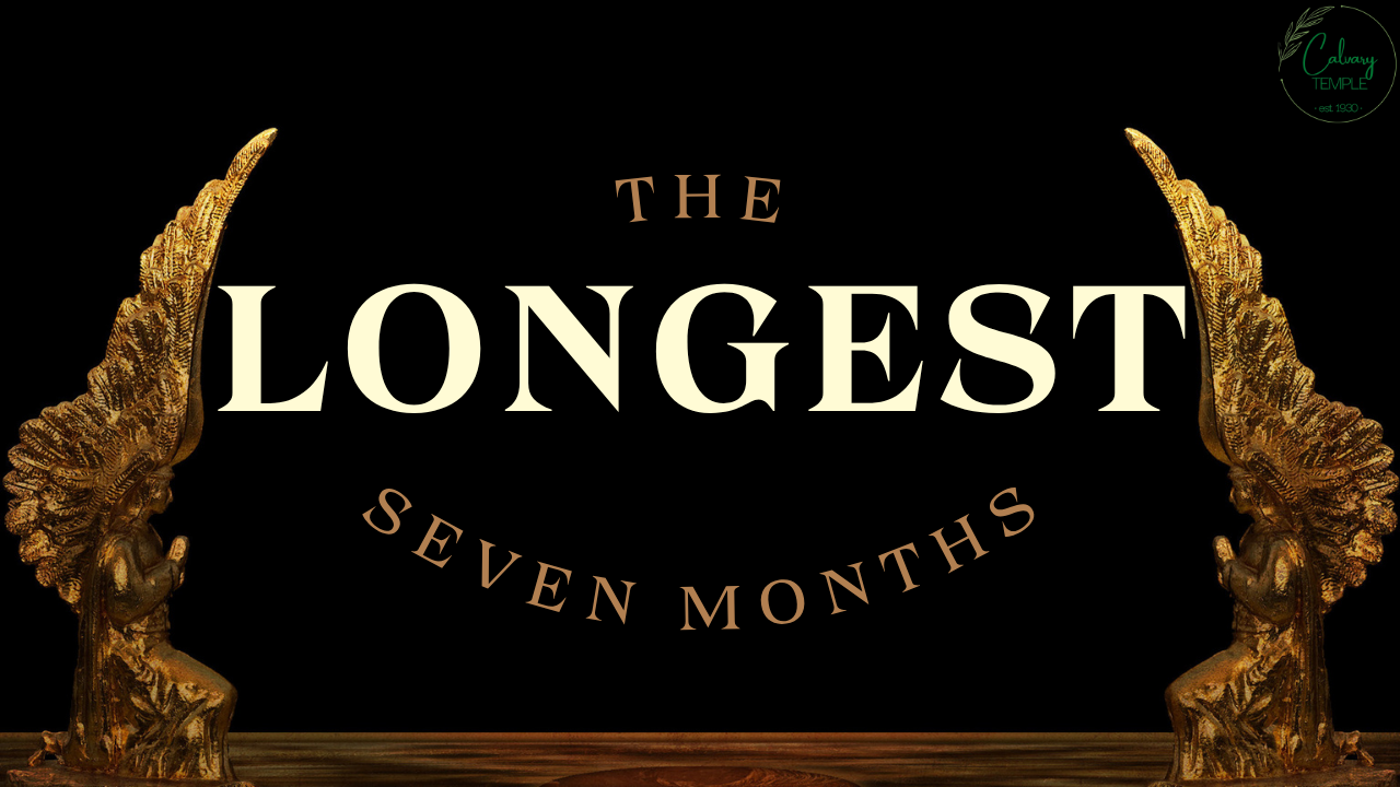The Longest Seven Months episode artwork