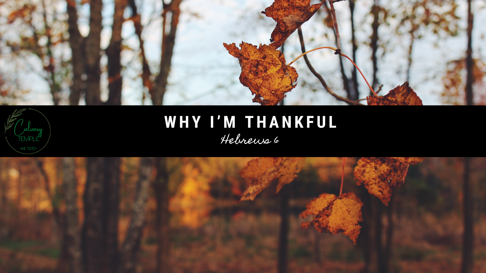 Why I'm Thankful