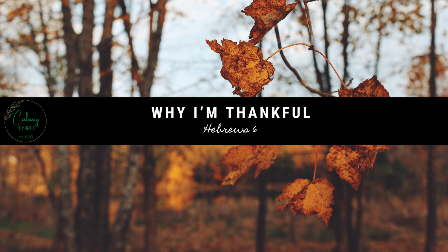 Why I'm Thankful episode artwork