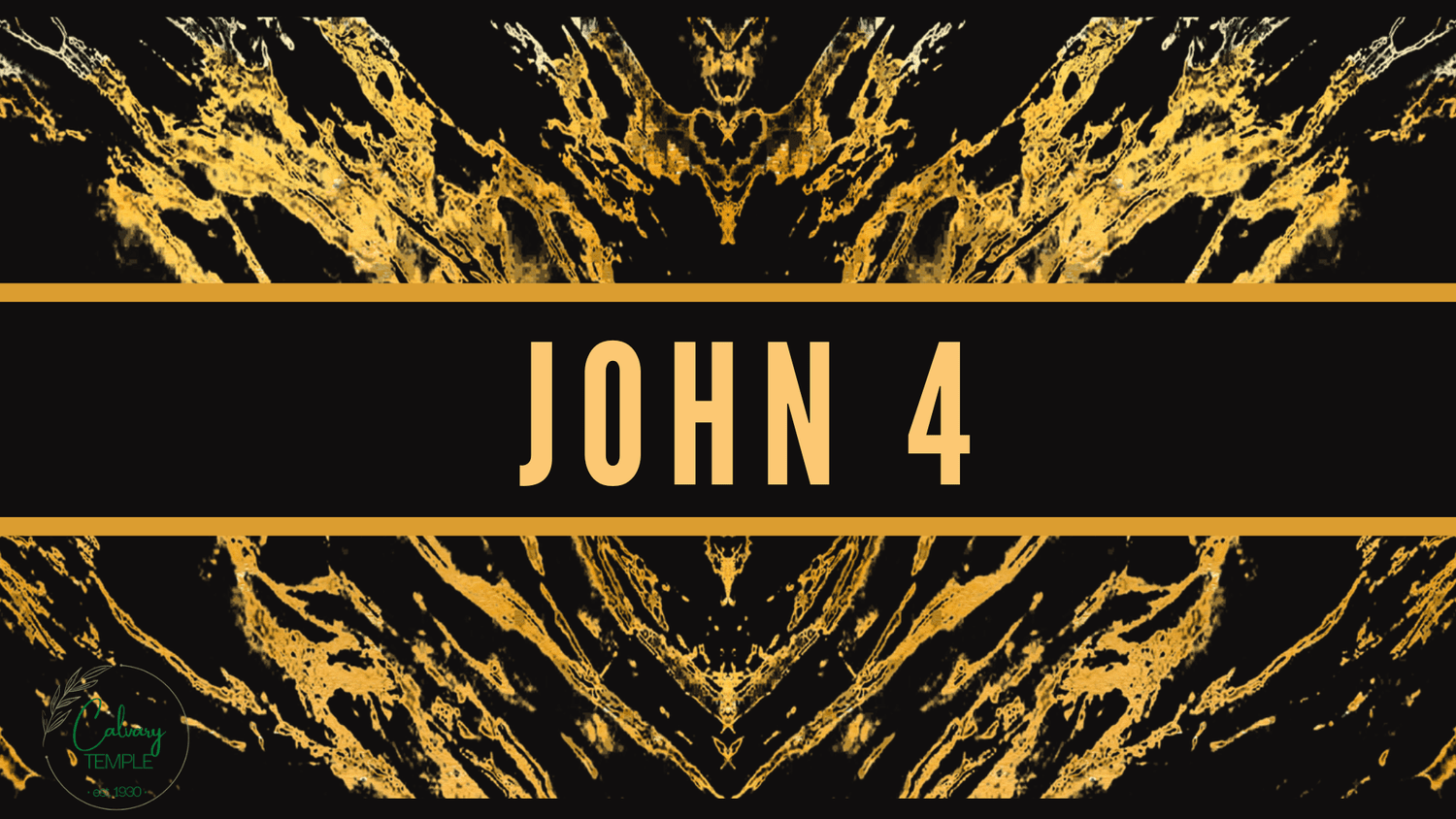 Study In The Book of John (John 4) episode artwork