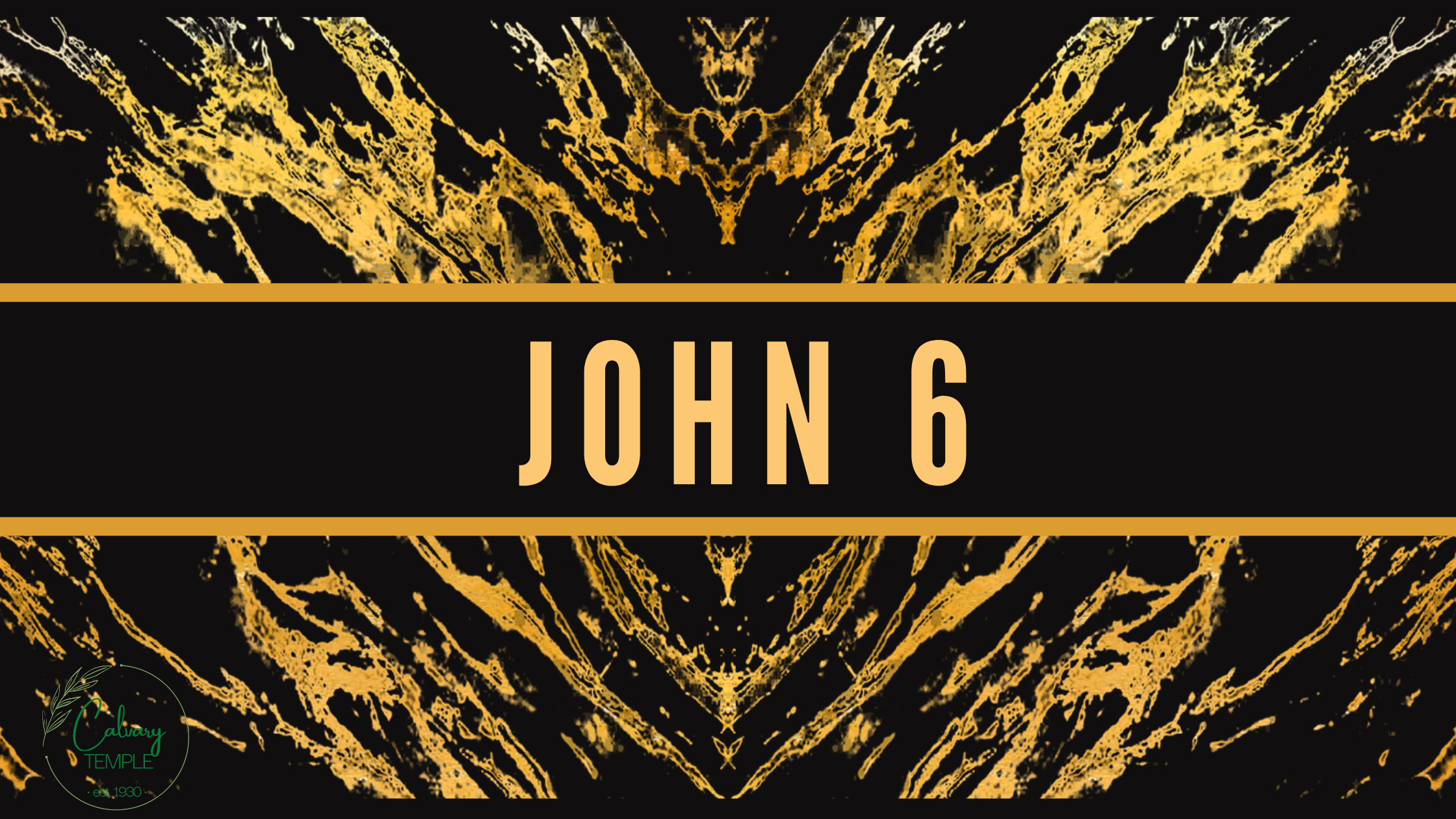 Study in the Book of John 6