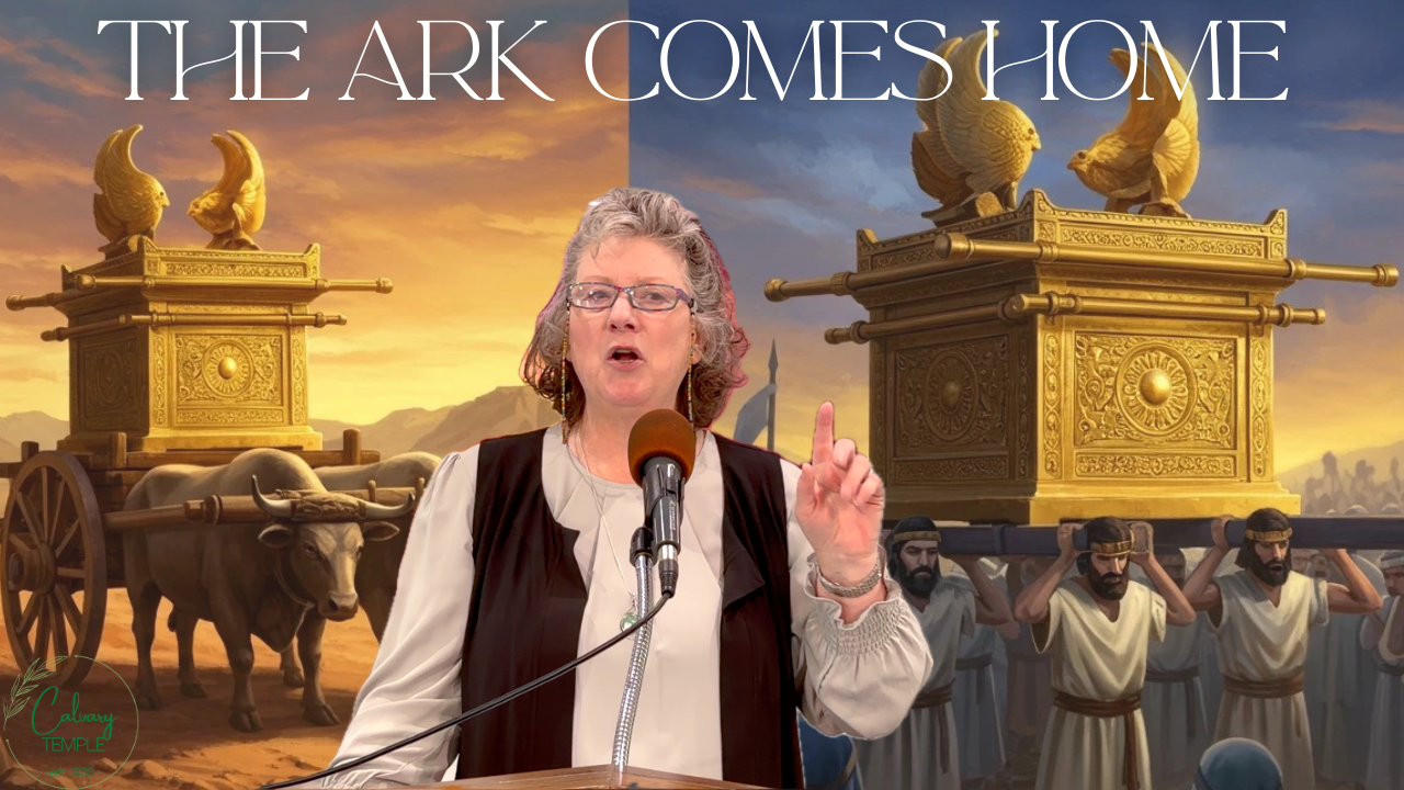 The Ark Comes Home episode artwork