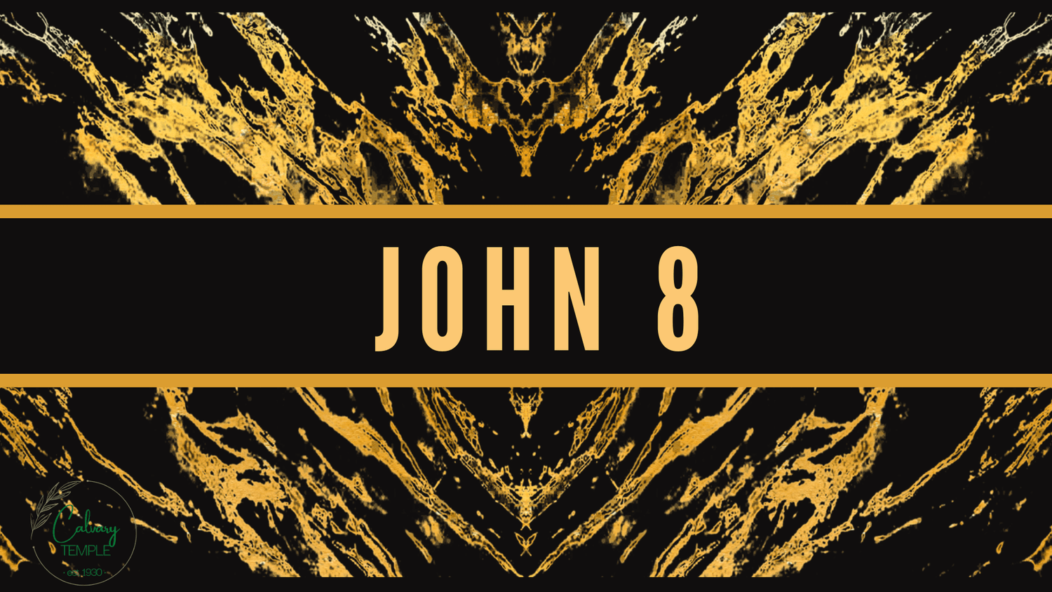 Study in the Book of John 8 episode artwork