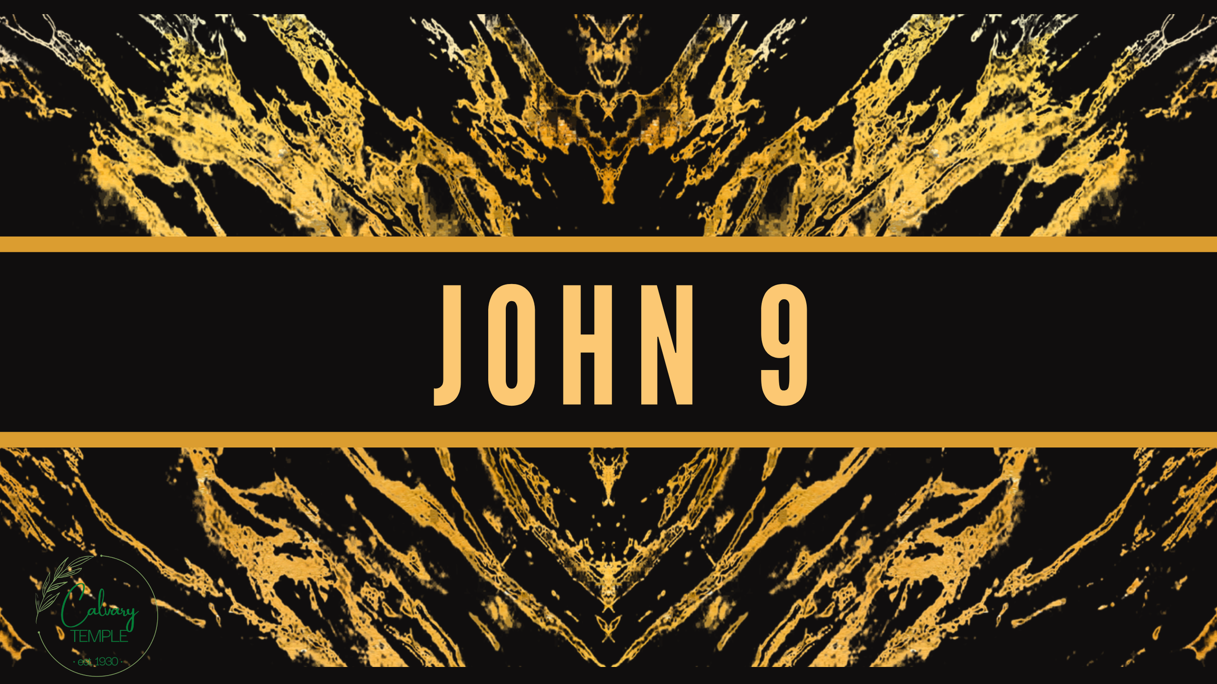 Study in the Book of John, Chapter 9