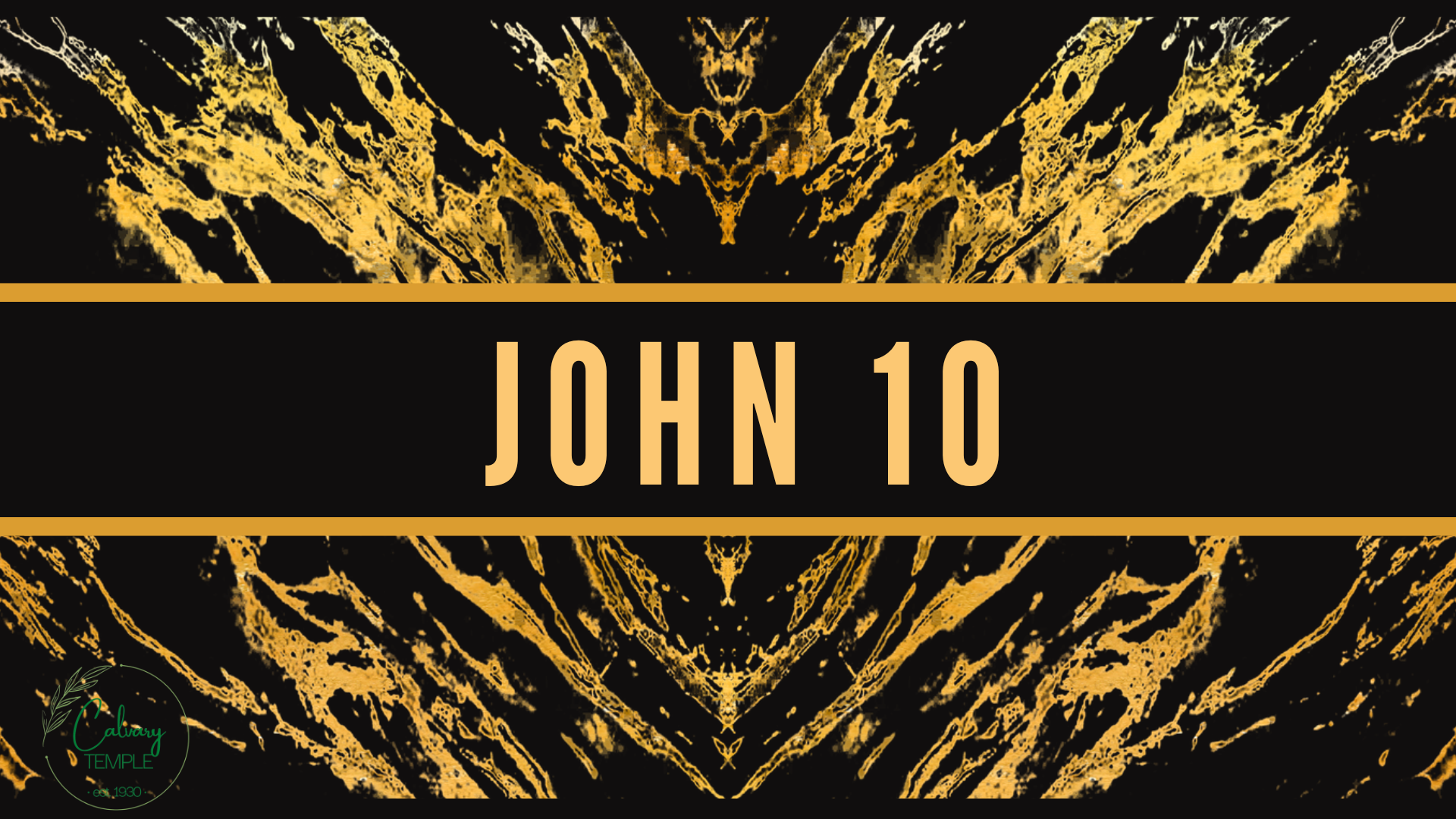 Study In The Book Of John, Chapter 10