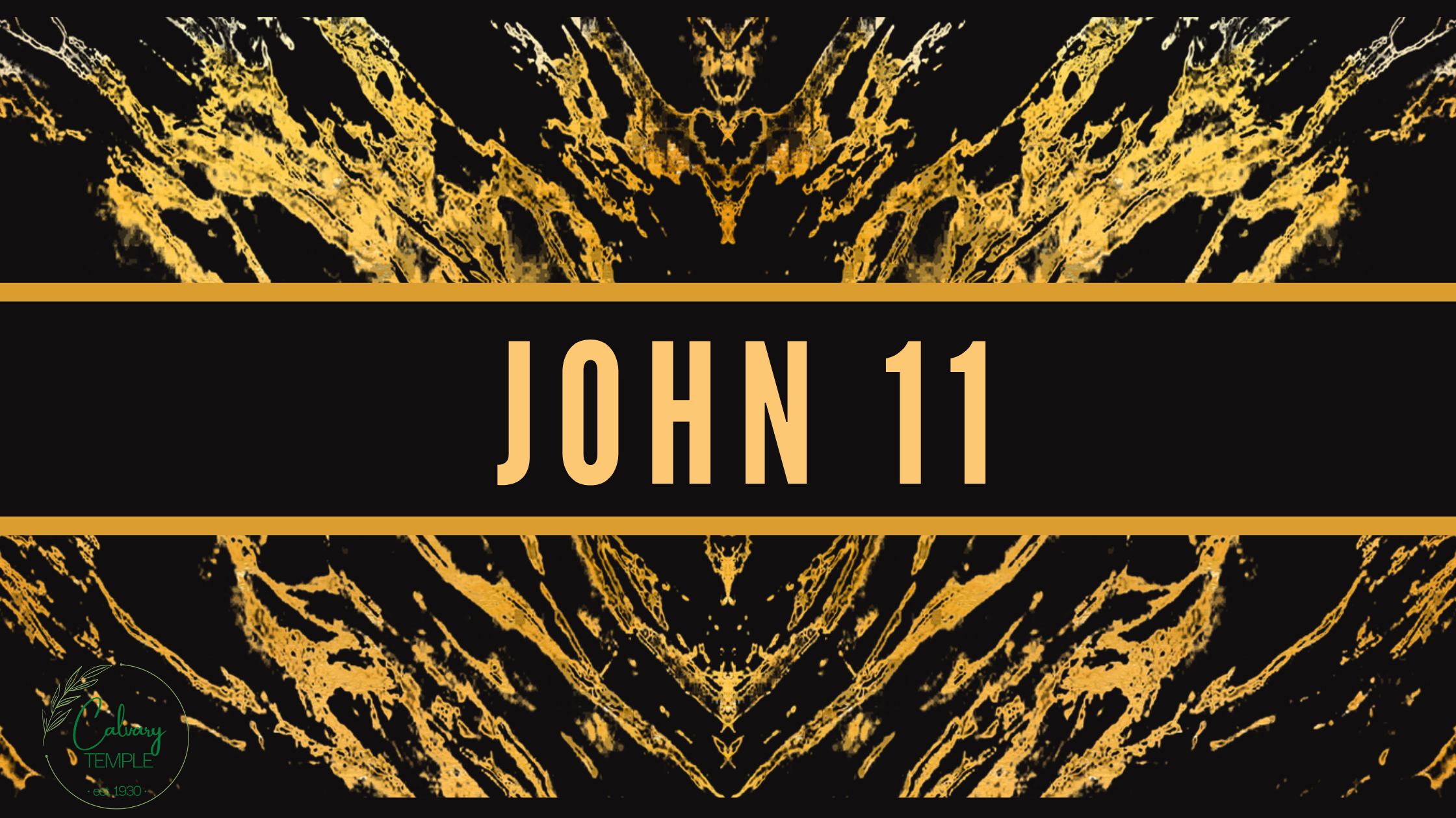 Study In The Book Of John, Chapter 11