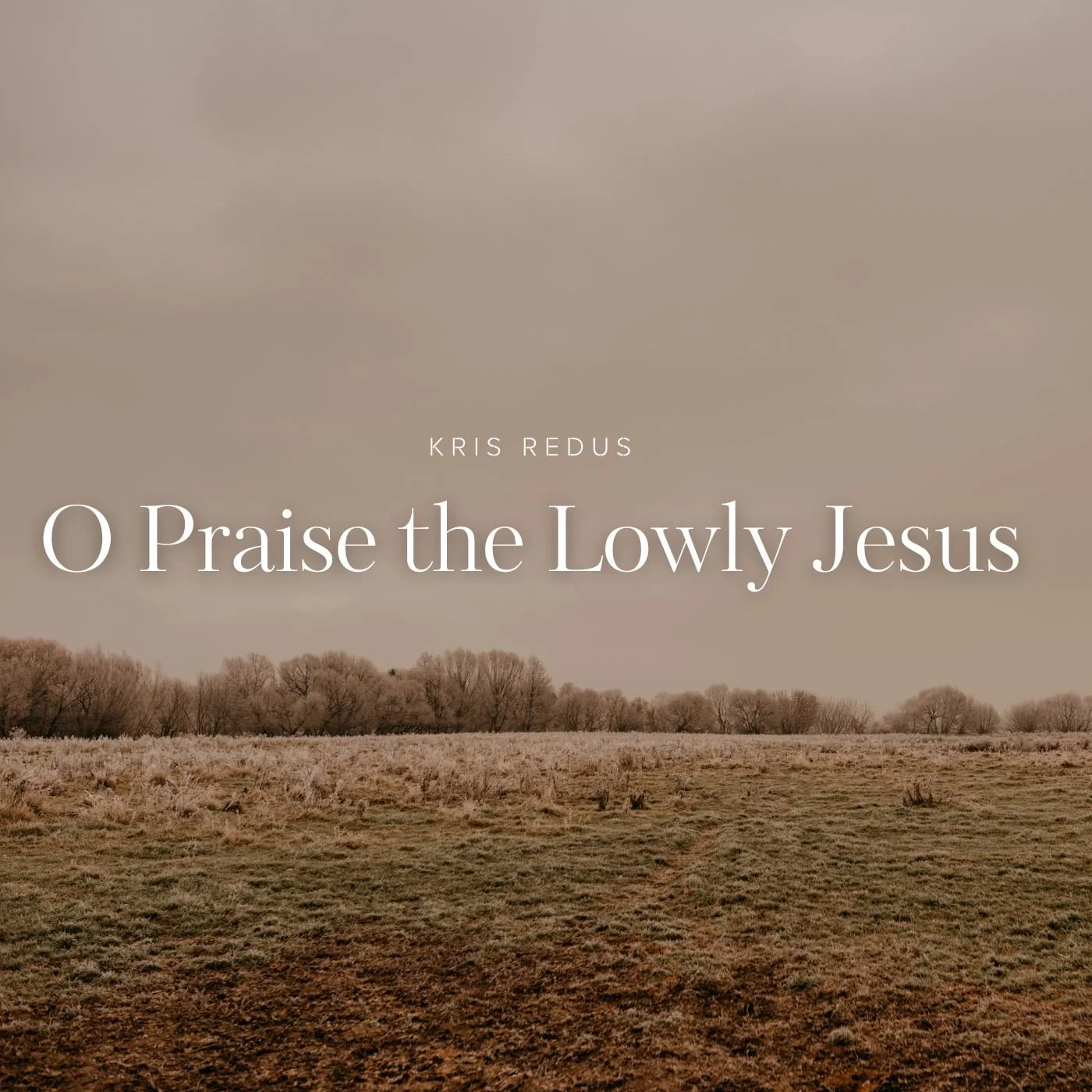 O Praise the Lowly Jesus