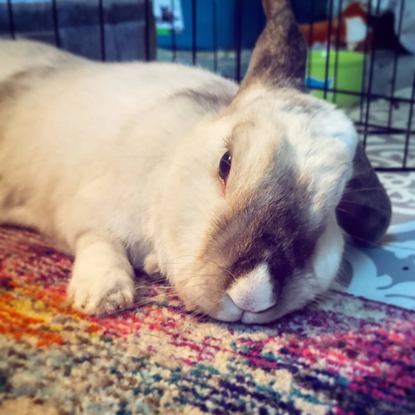 Marketing is my day job, so sometimes it feels like a big slog to even think about promoting my art on the side, because I am very, very, tired of the internet.

I do not want to "hustle". 

When I get home all I want to do is draw, and pok