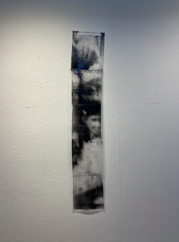 wallflower
2025, lithography on vellum, tape, thread, 11x50