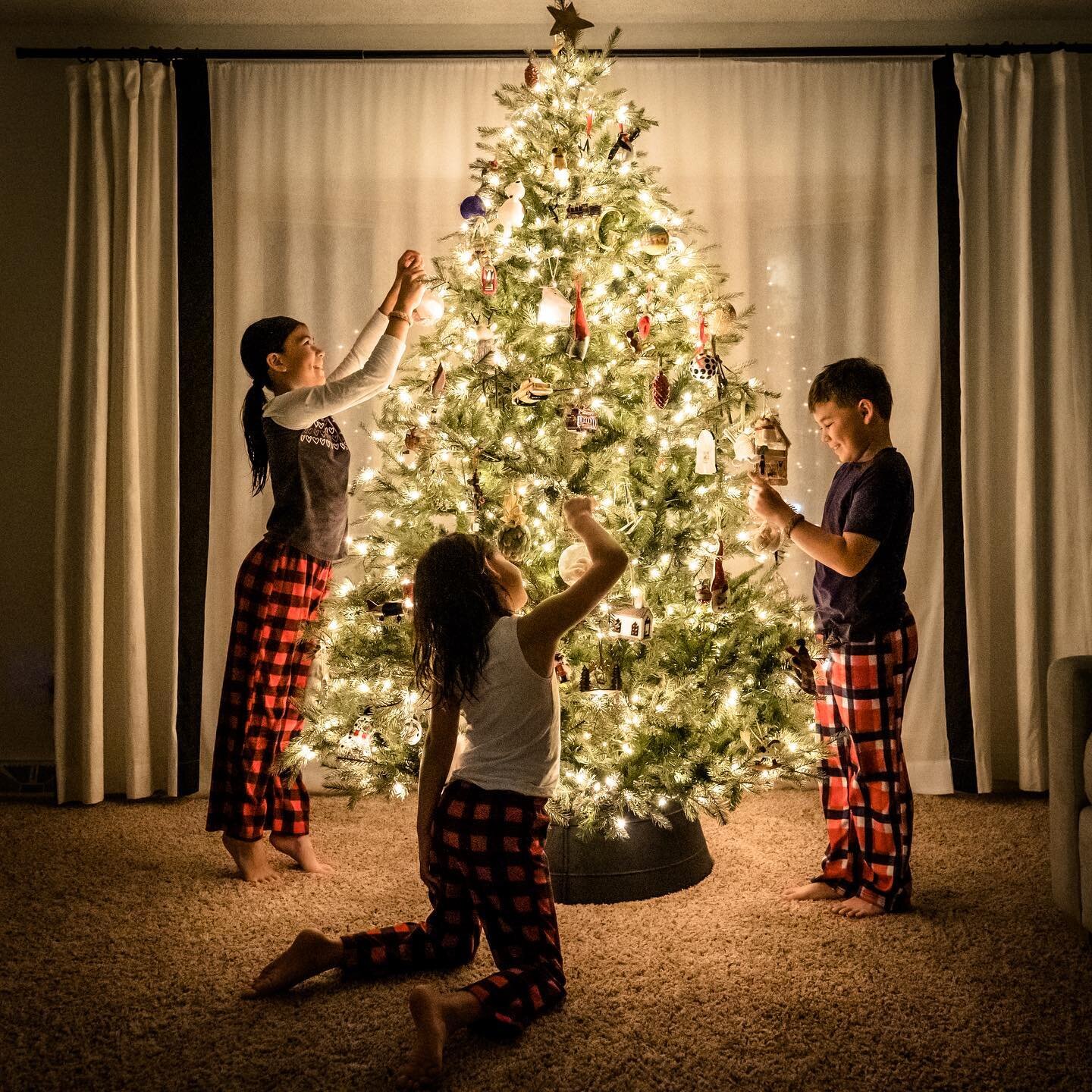 It&rsquo;s beginning to look a lot like Christmas! #christmastree #familyphotography #holidayphotography #christmaslove