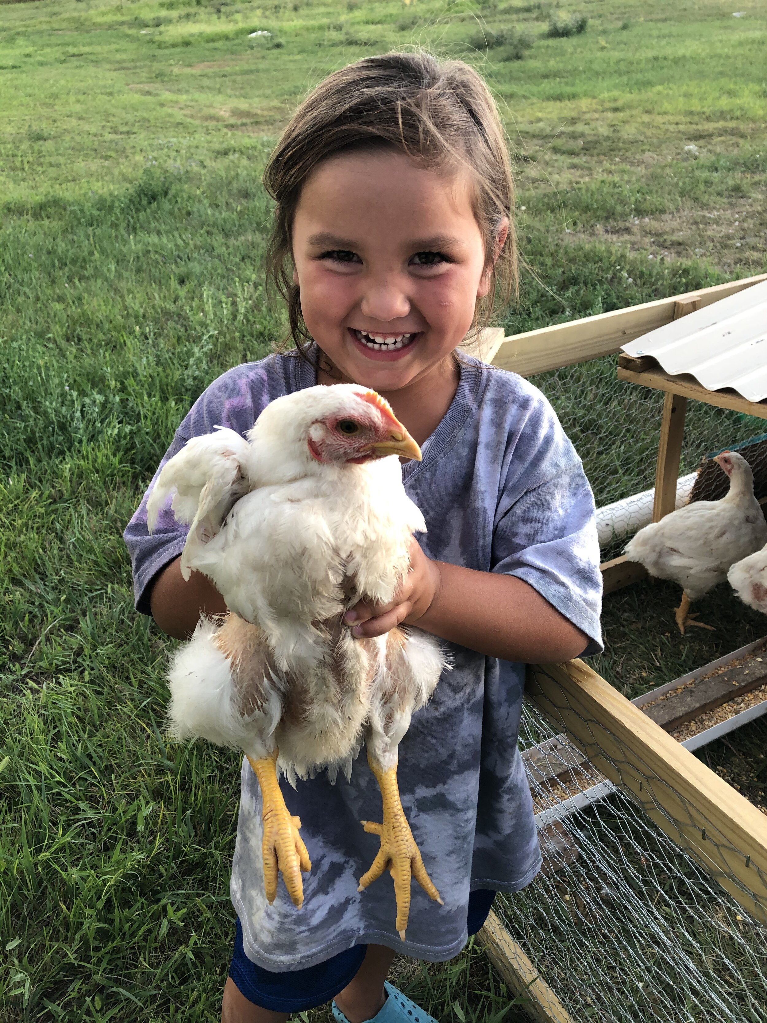 Regenerative Production Farm Initiative