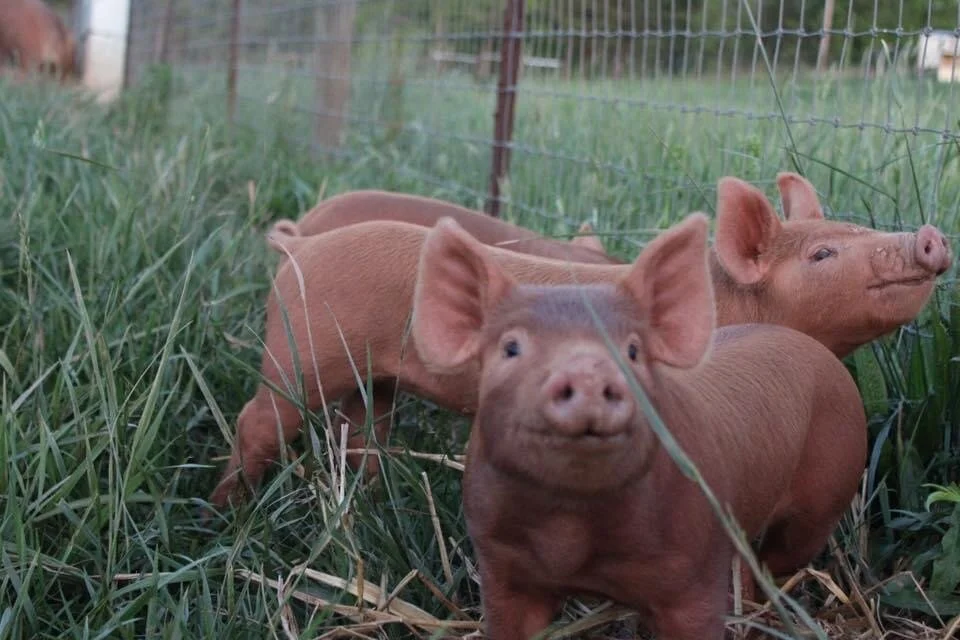 Responsible Land Use