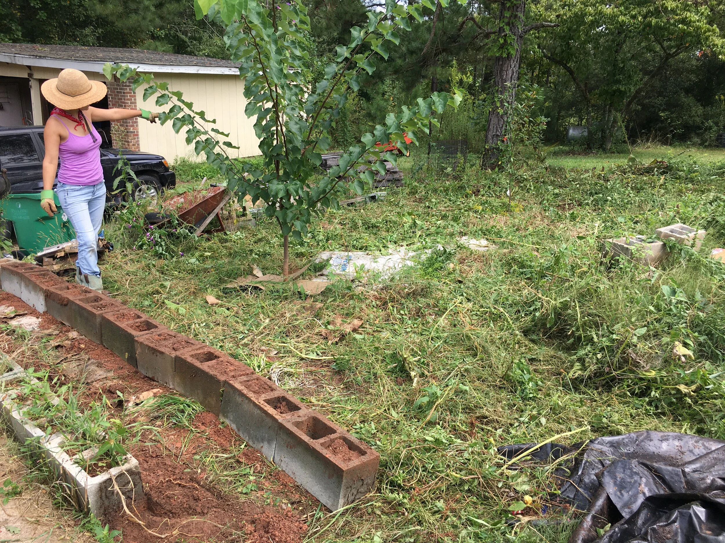 Polyculture Food Systems