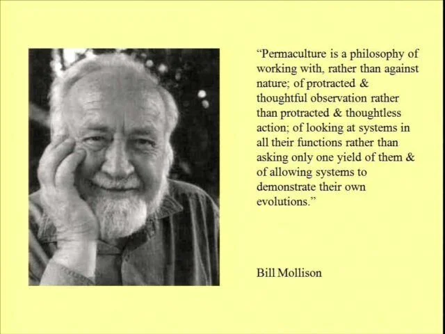 Design Philosophy