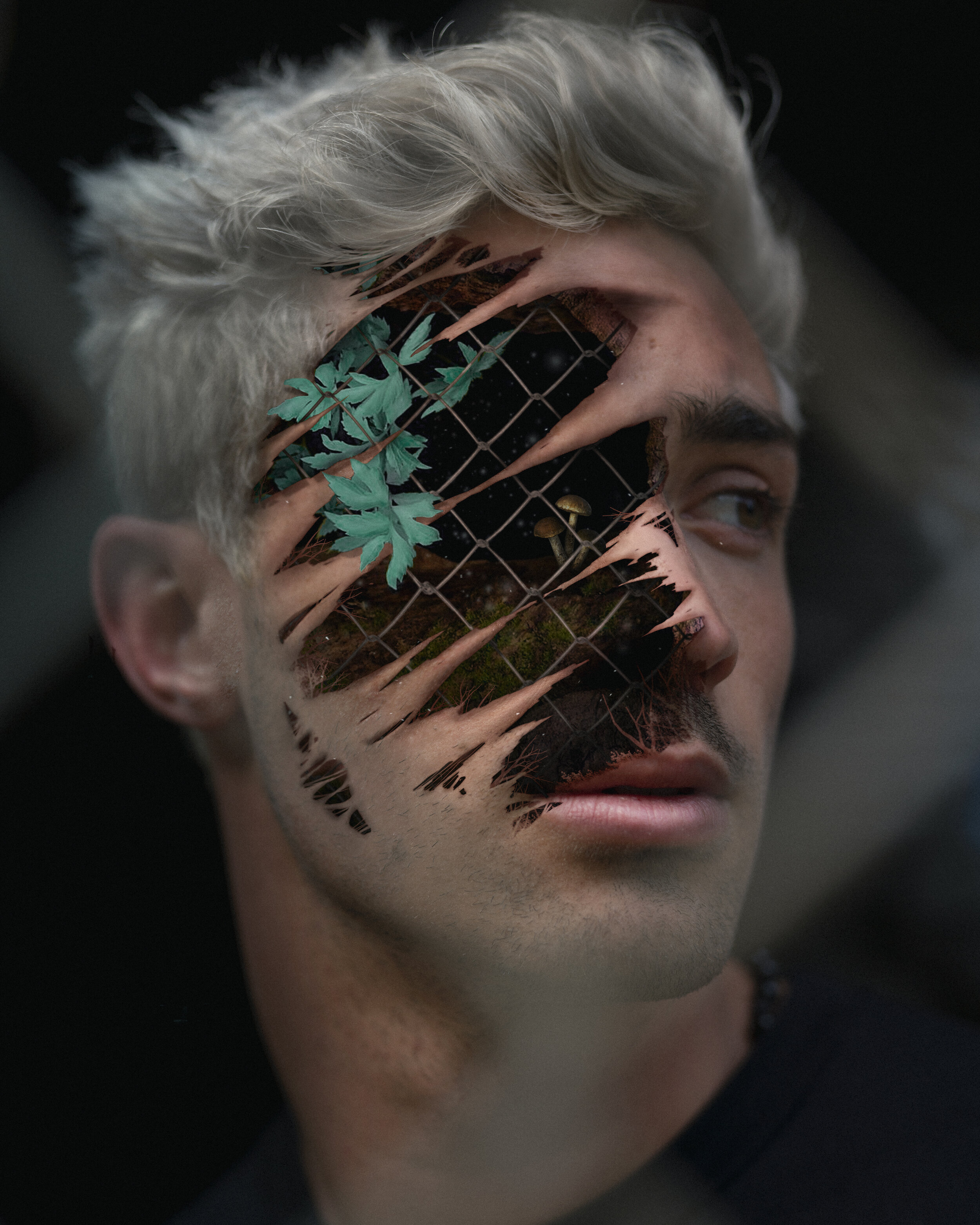 Fence Face_Final.jpg