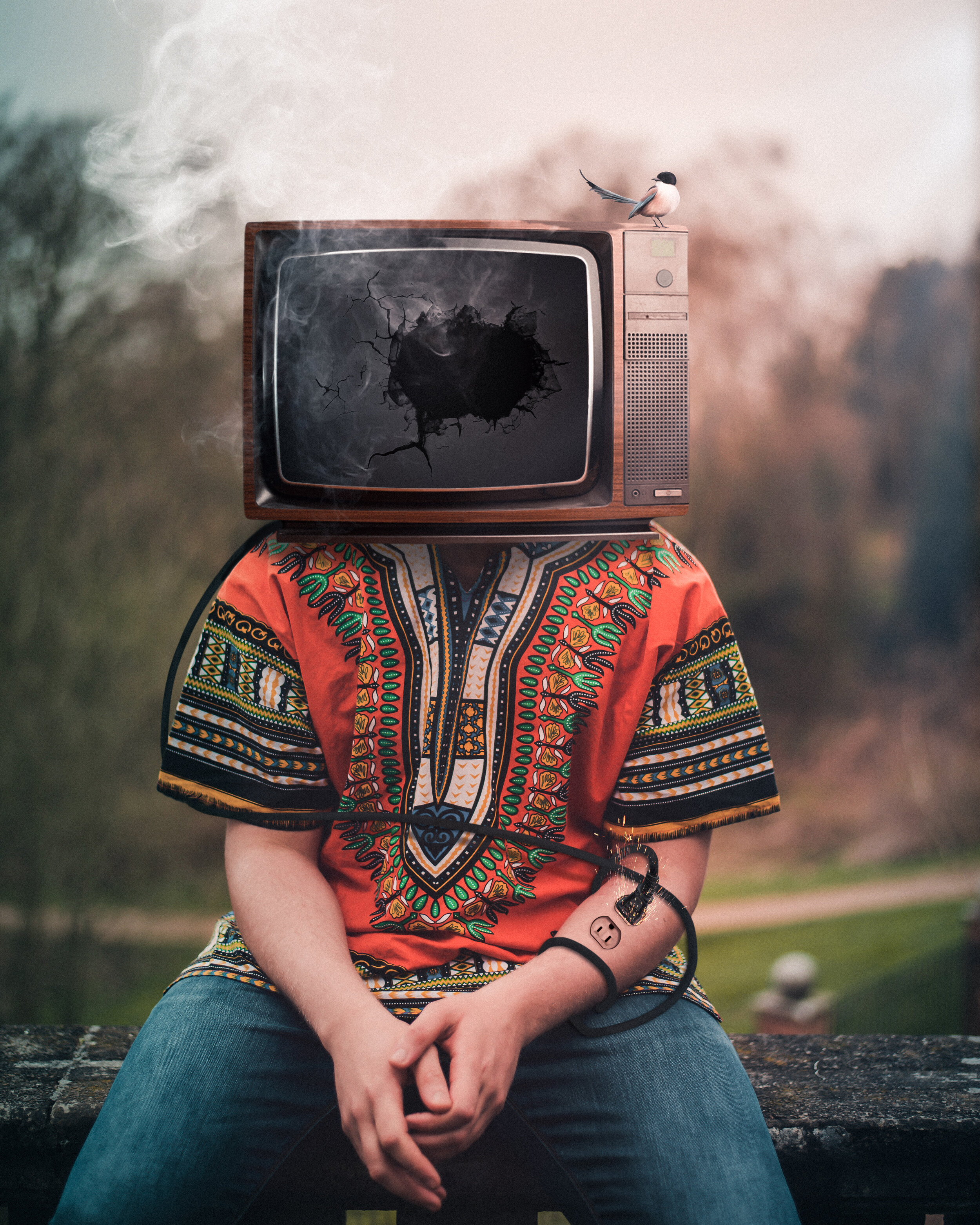 Tv Head.jpg